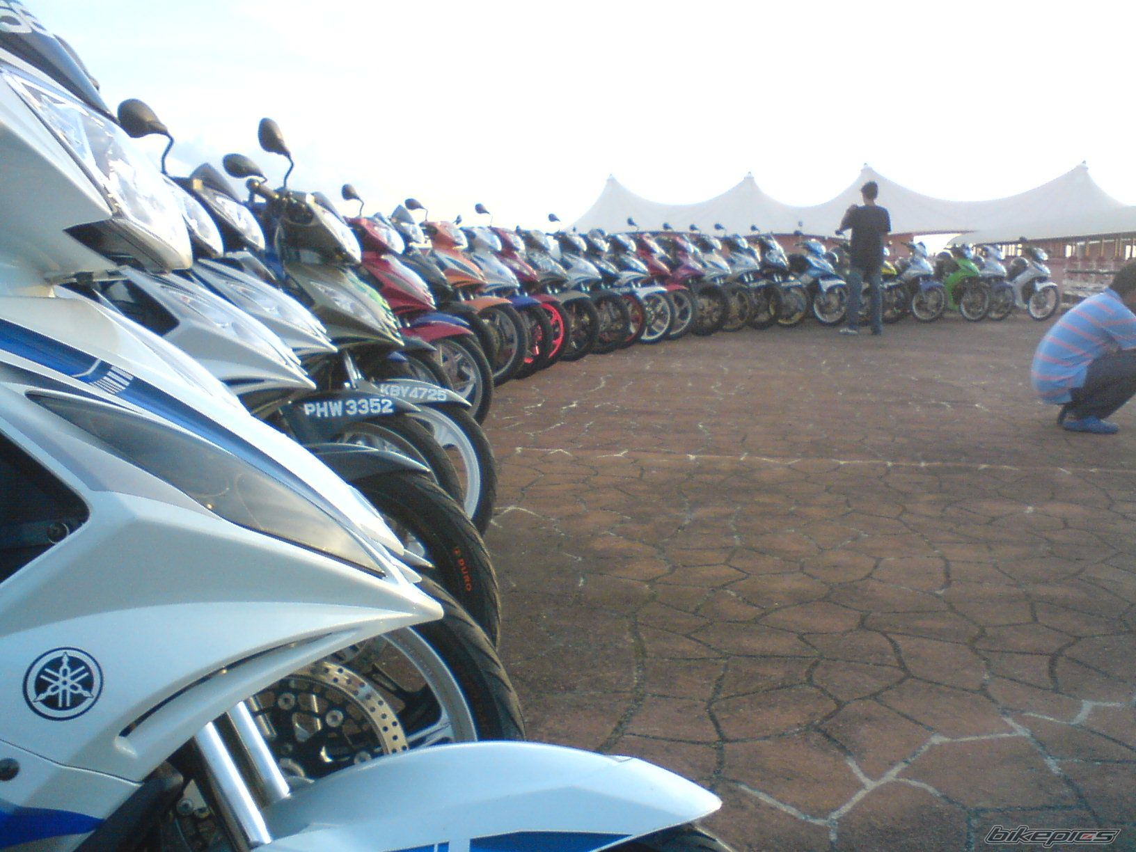 Photo 1440975