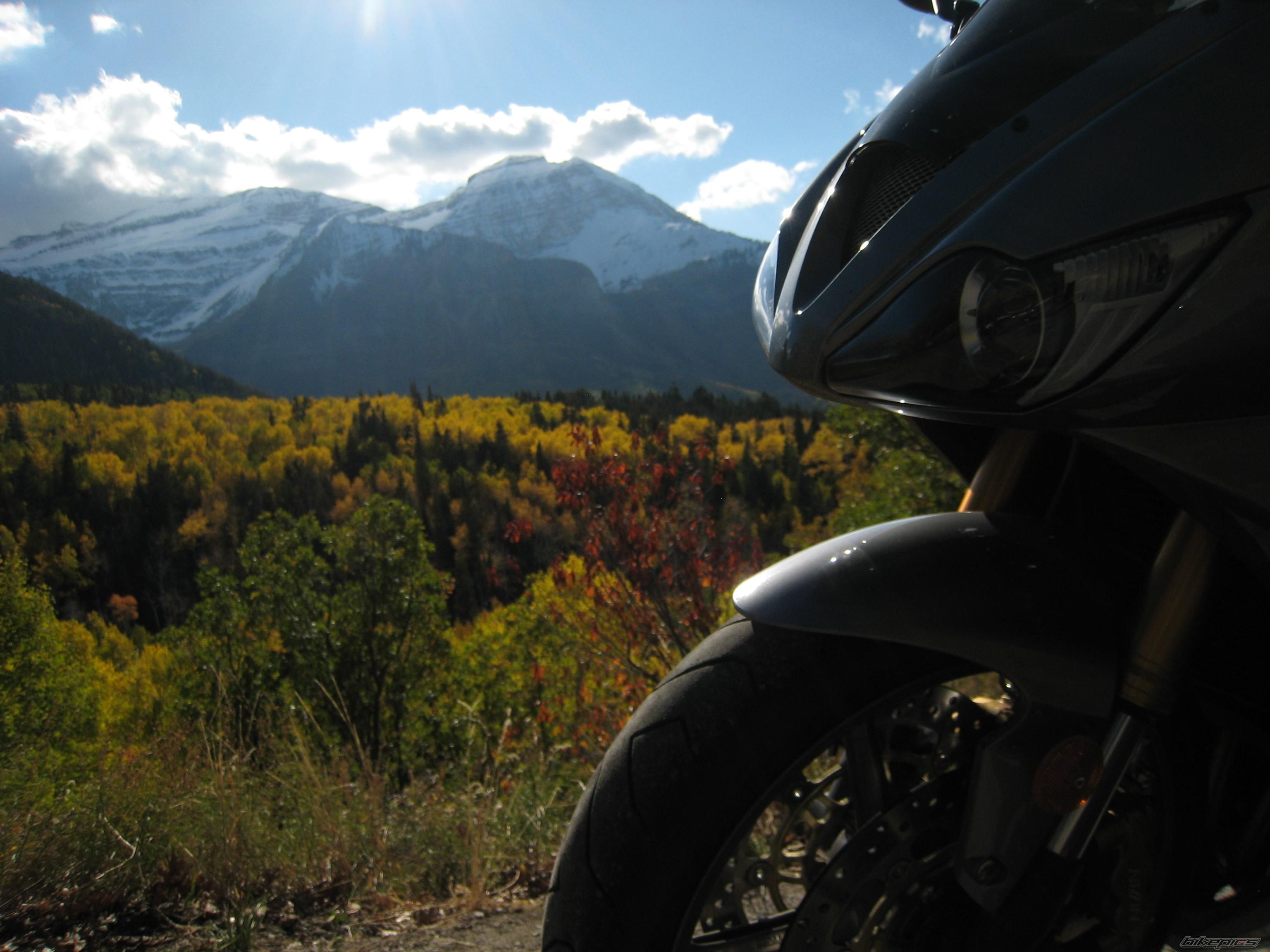 Bike Photo 1441007