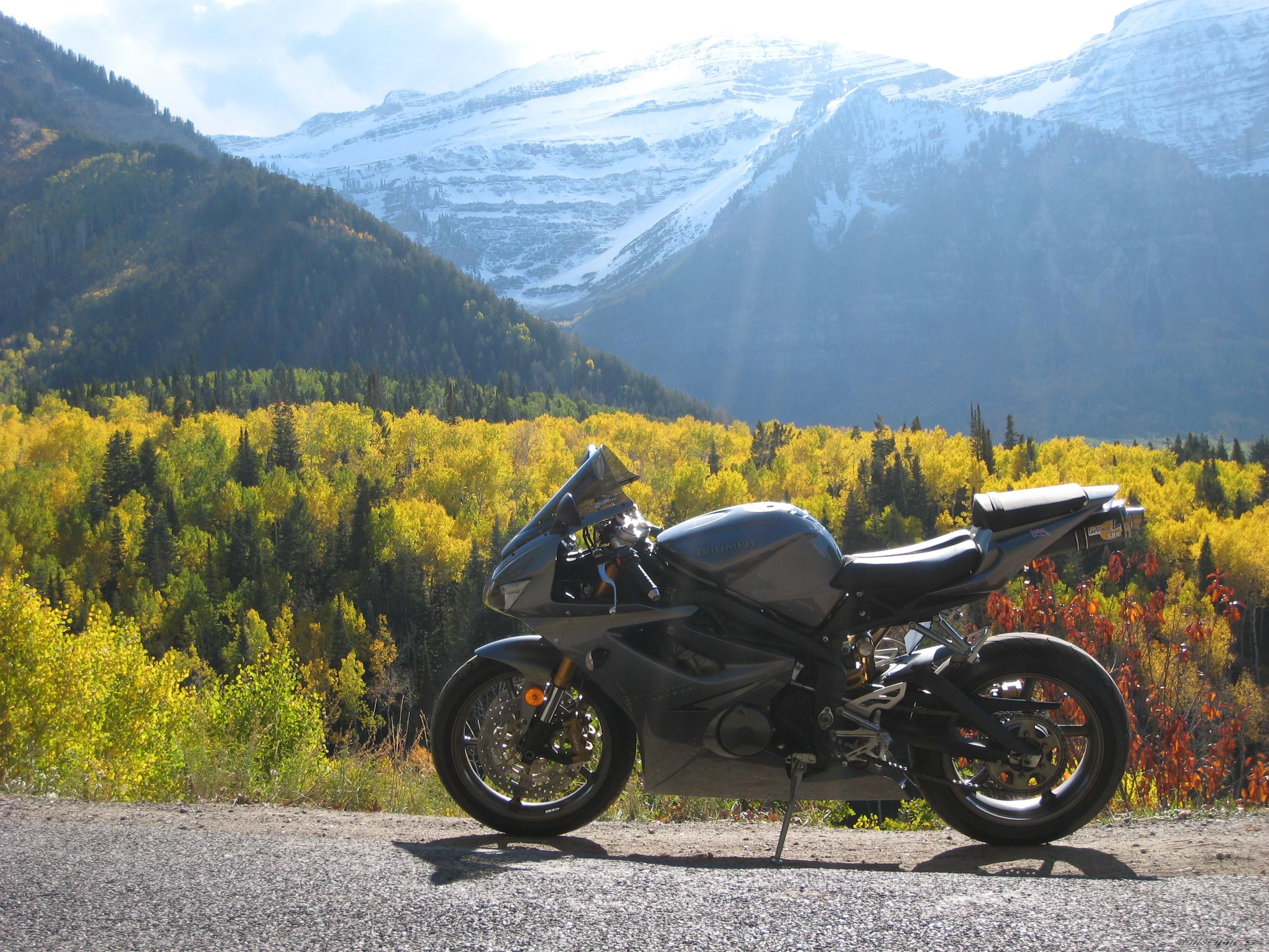 Bike Photo 1441009