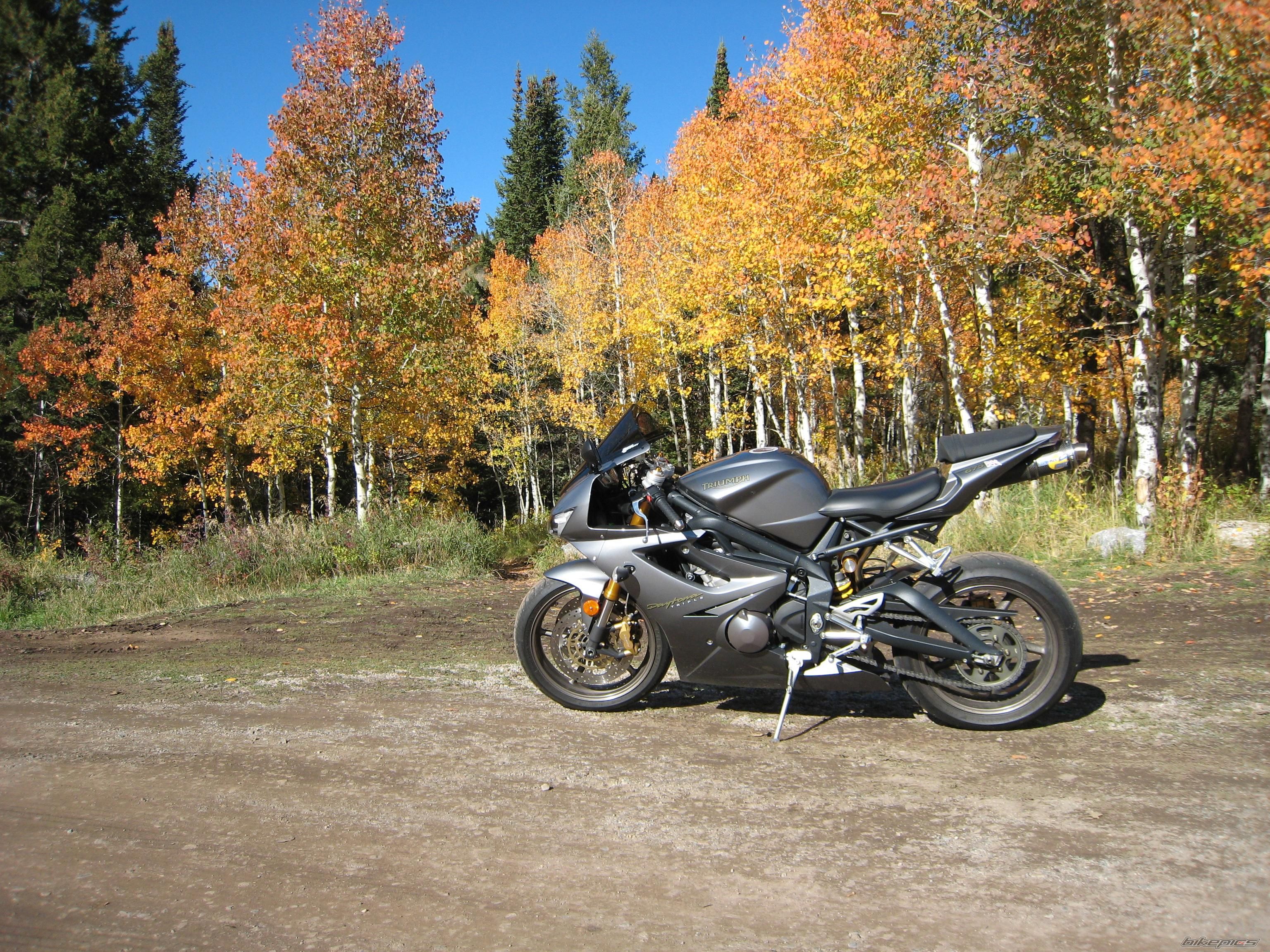 Bike Photo 1441011