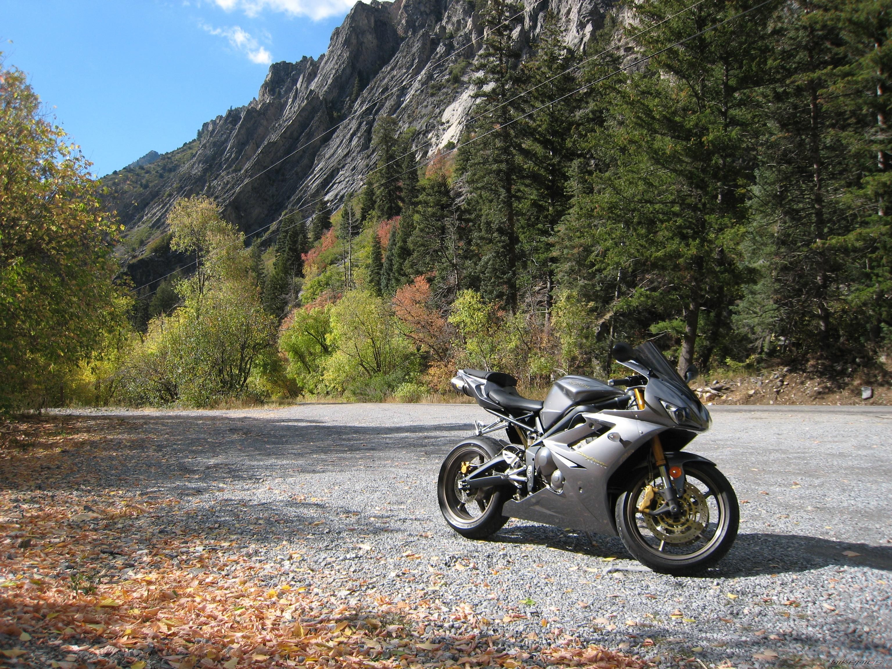 Bike Photo 1441013