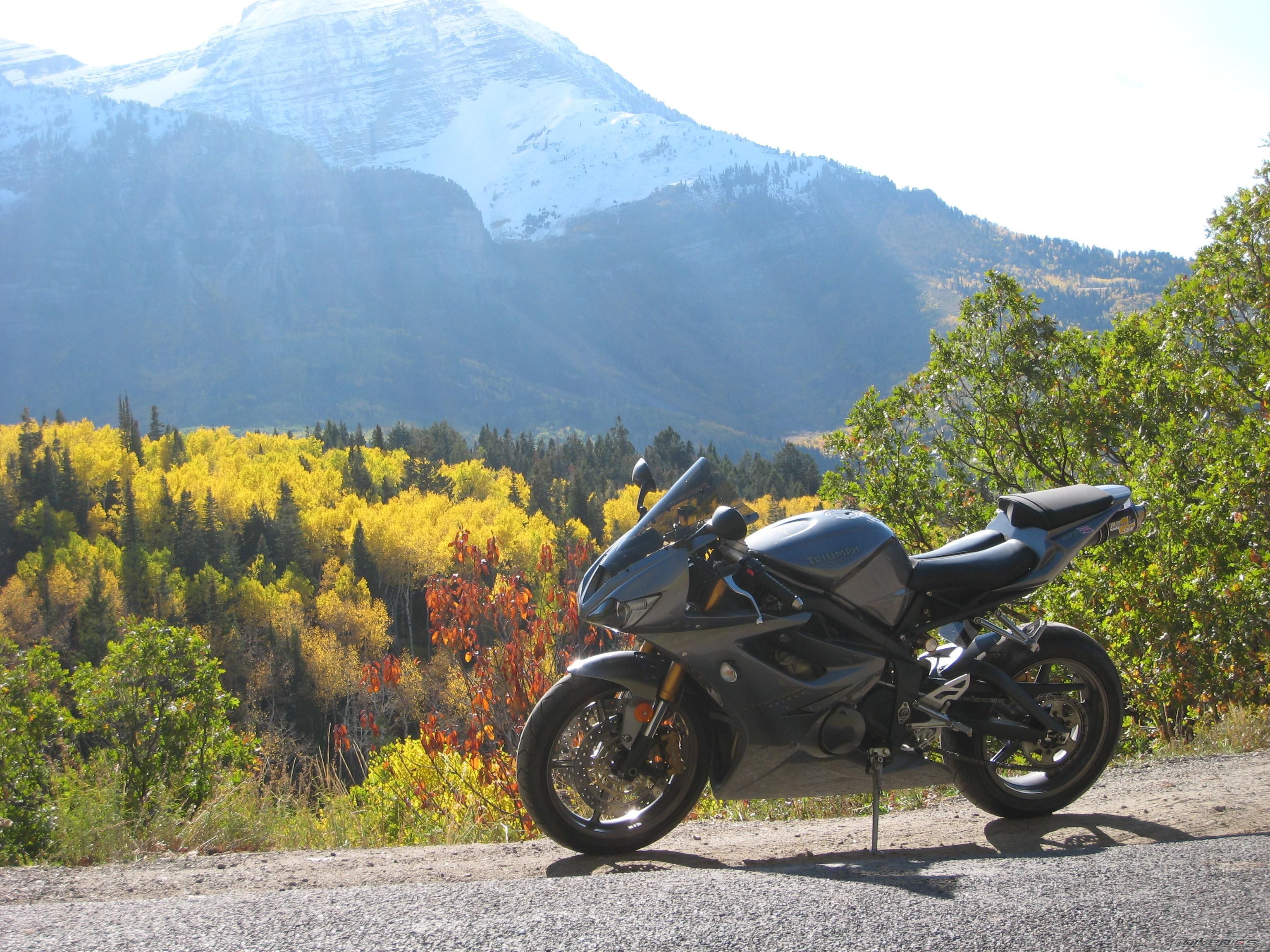 Bike Photo 1441014
