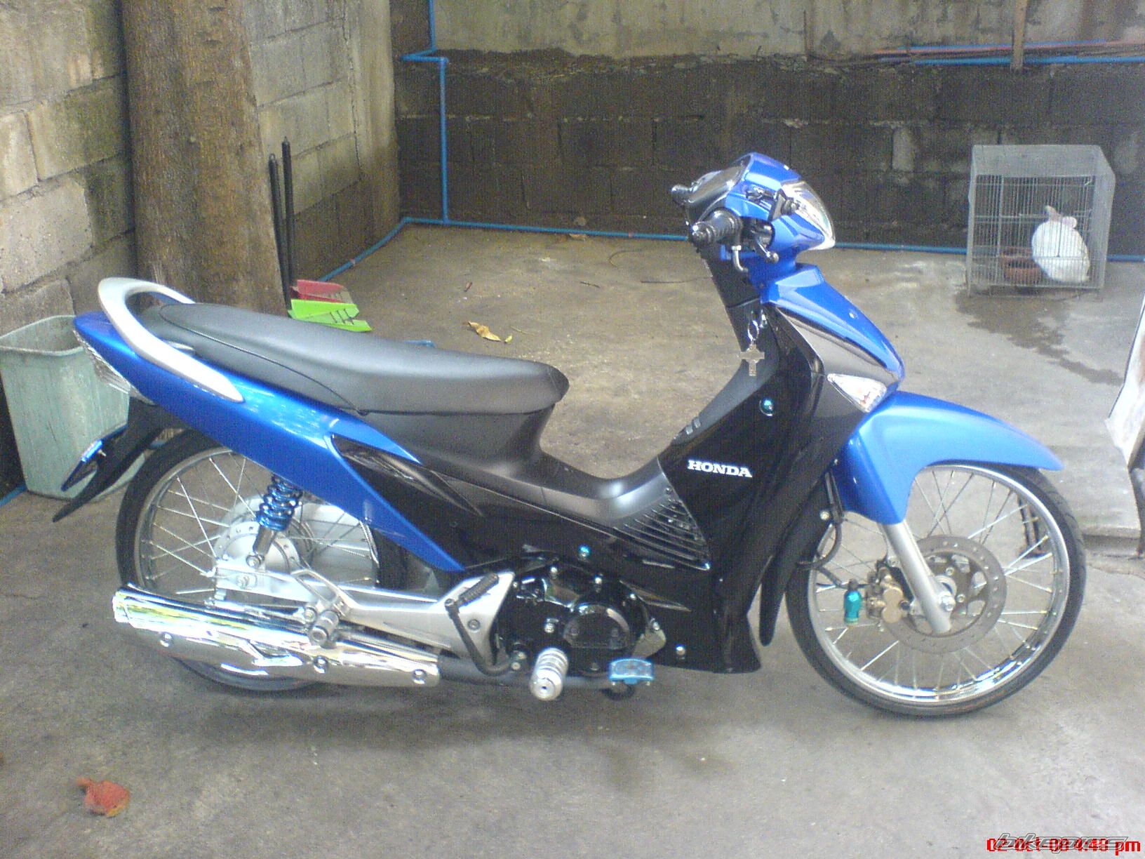 Photo 1441063