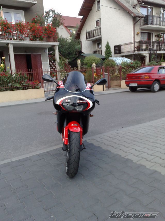 Photo 1441131