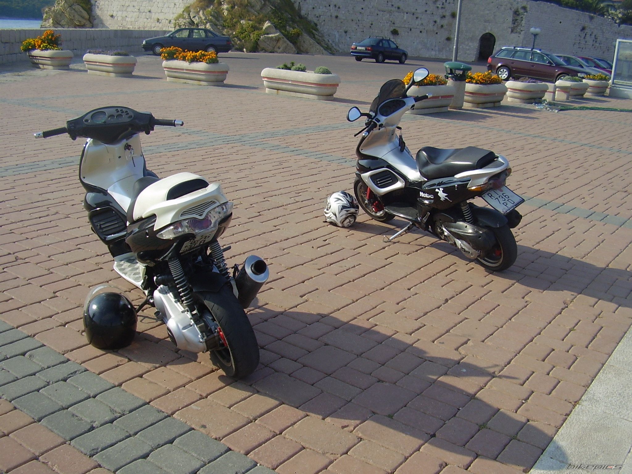 Photo 1441142