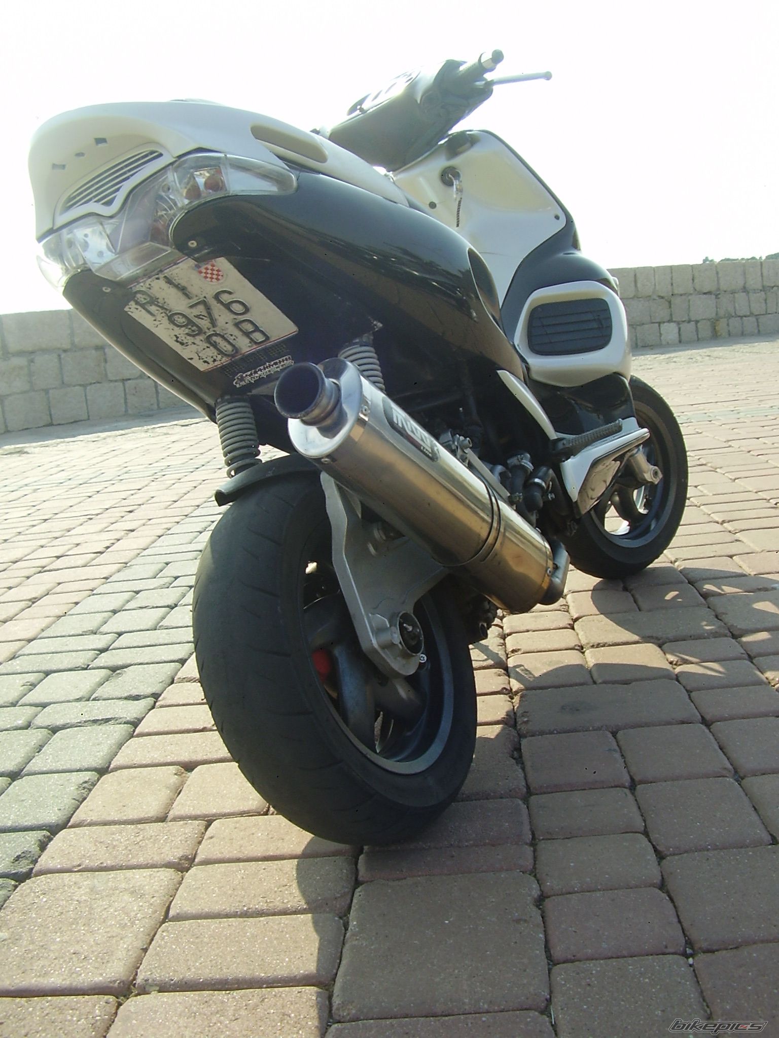 Photo 1441146