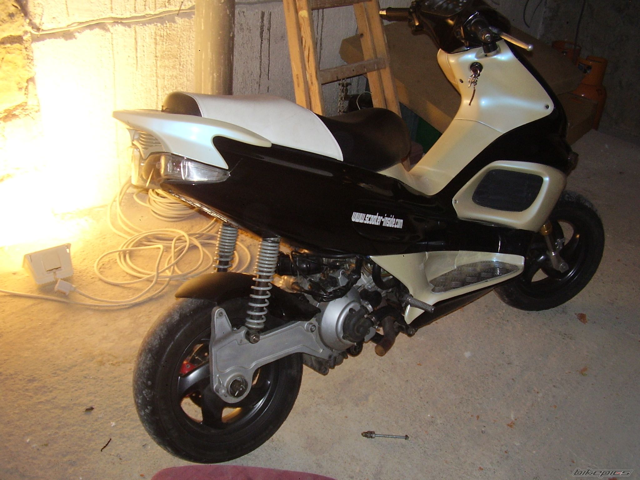 Photo 1441155