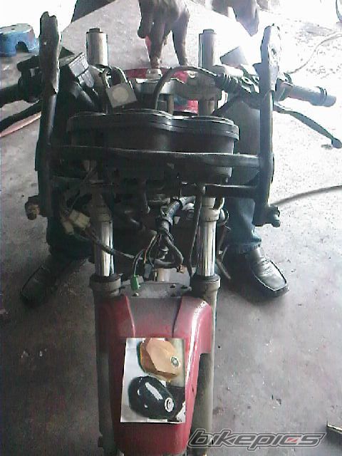 Photo 1441166