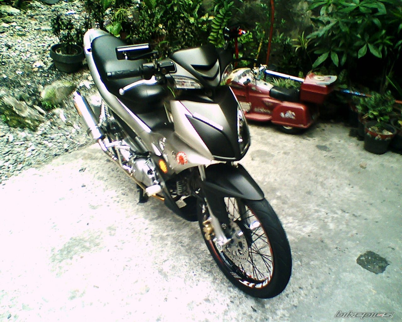Photo 1441188