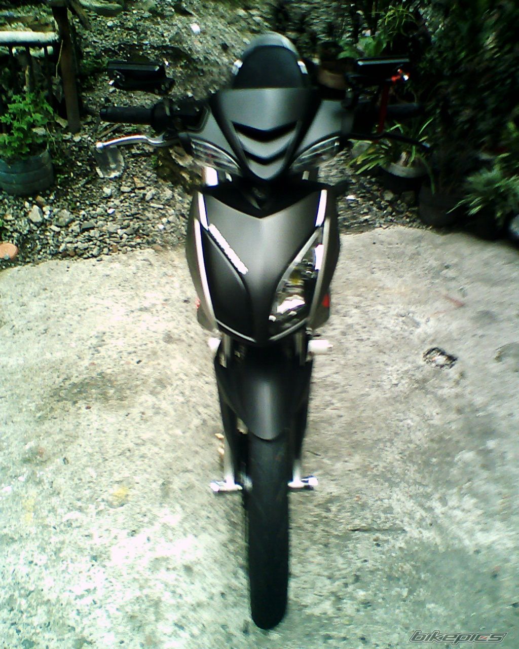 Photo 1441191