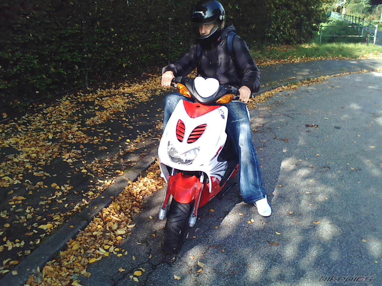 Photo 1441212