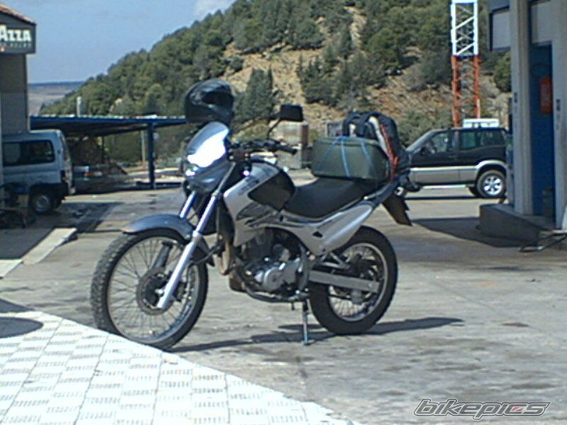 Photo 1441217