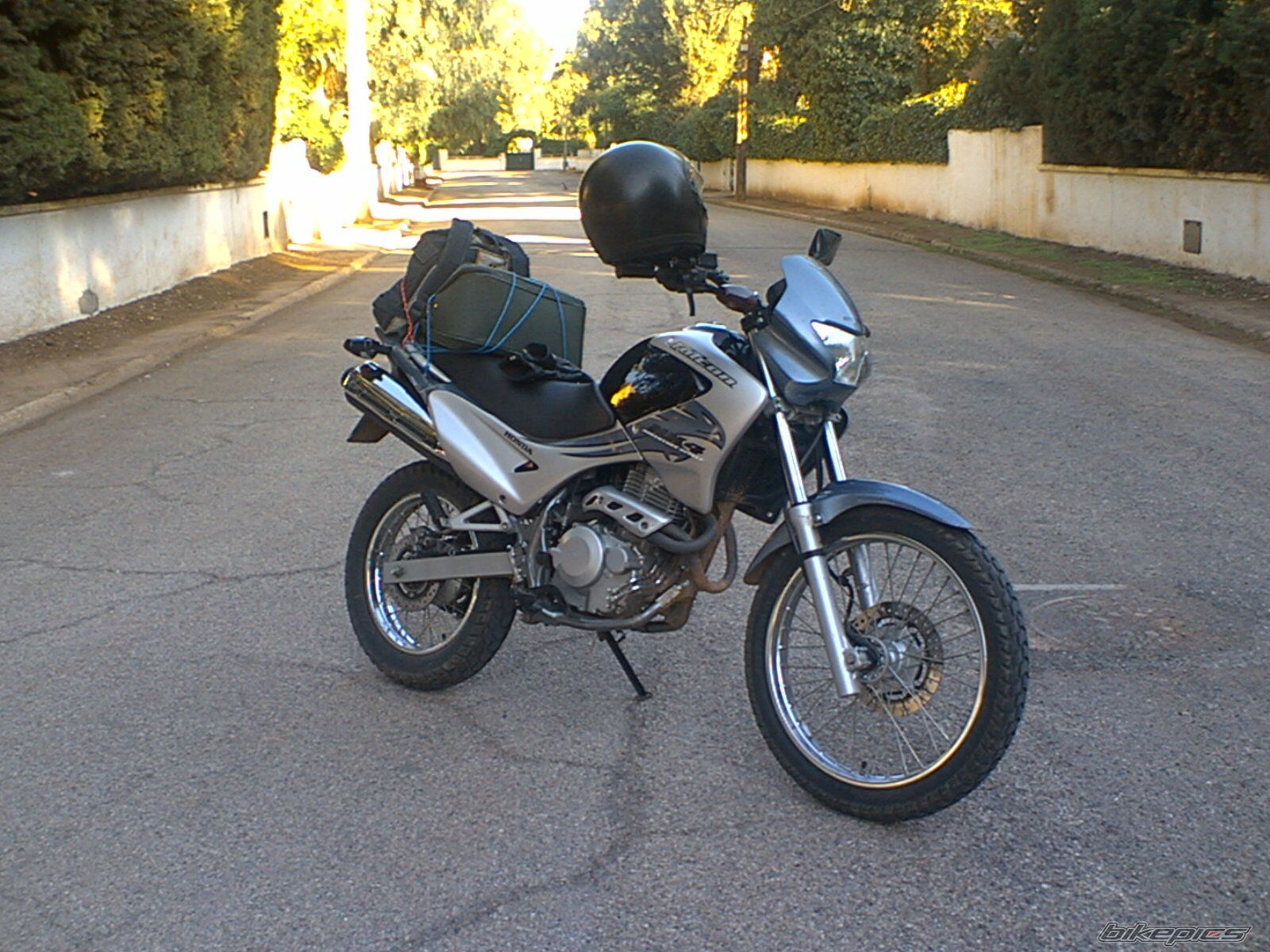 Photo 1441236
