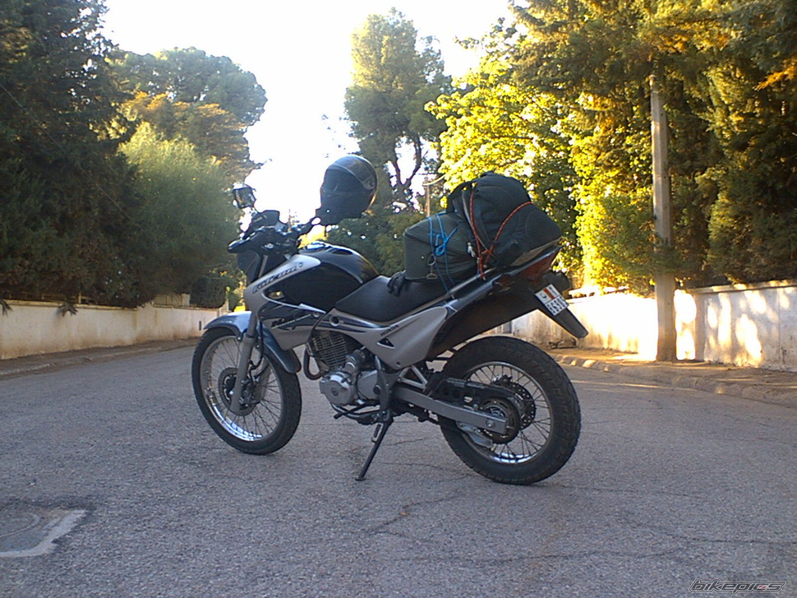 Photo 1441238