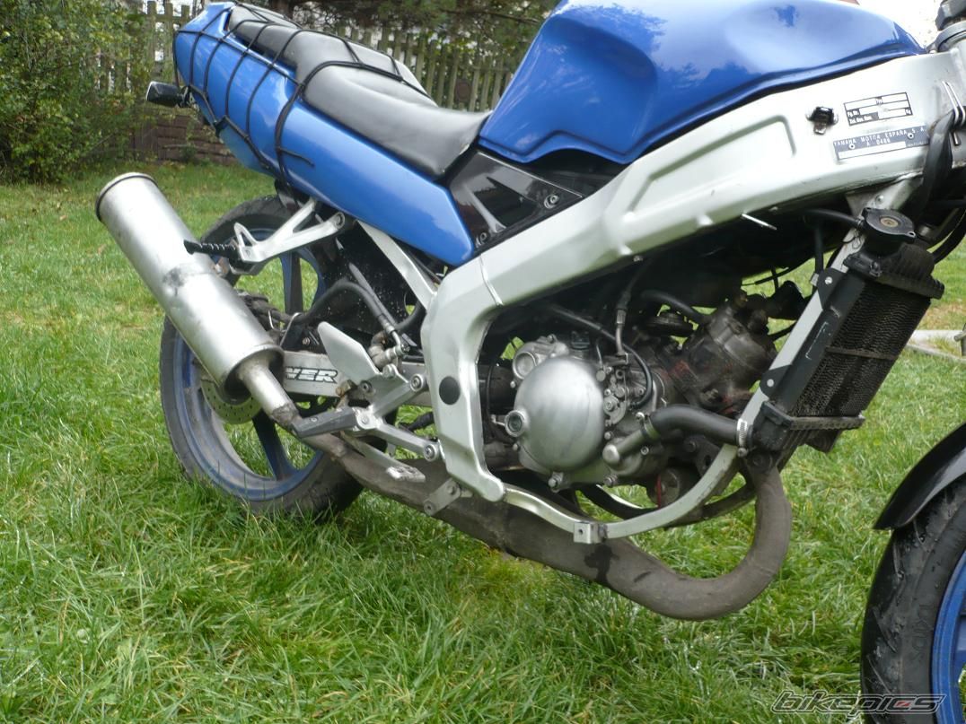 Photo 1441282