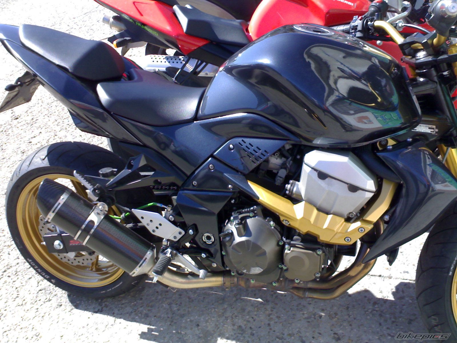 Photo 1441289
