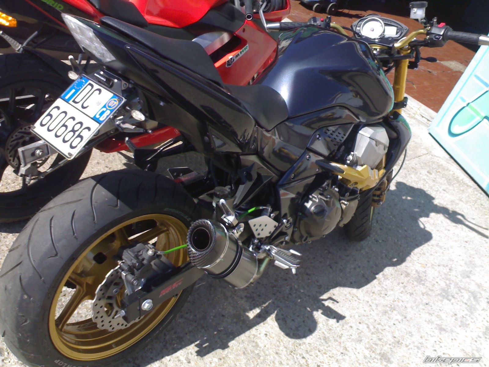 Photo 1441290