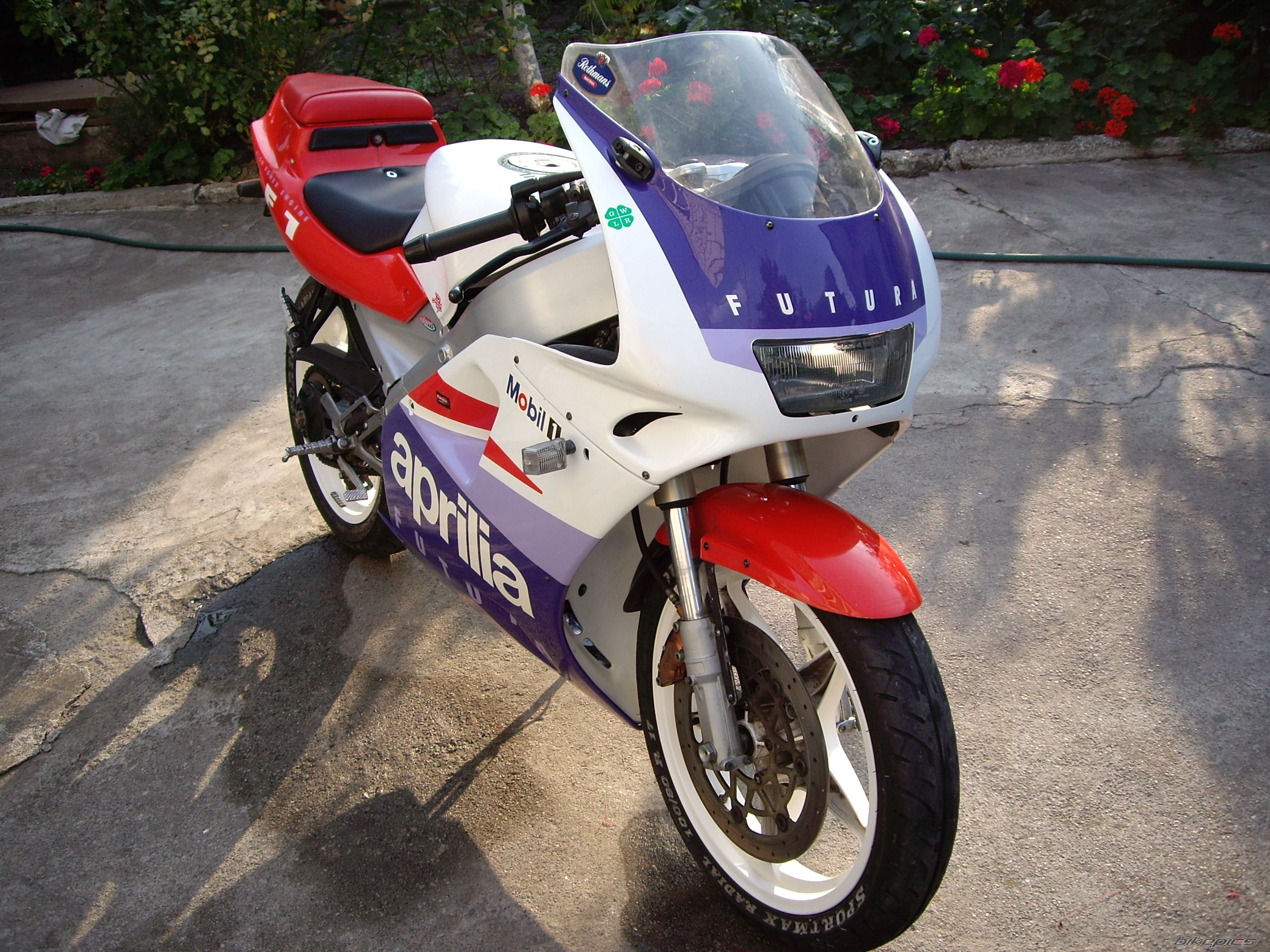 Photo 1441293