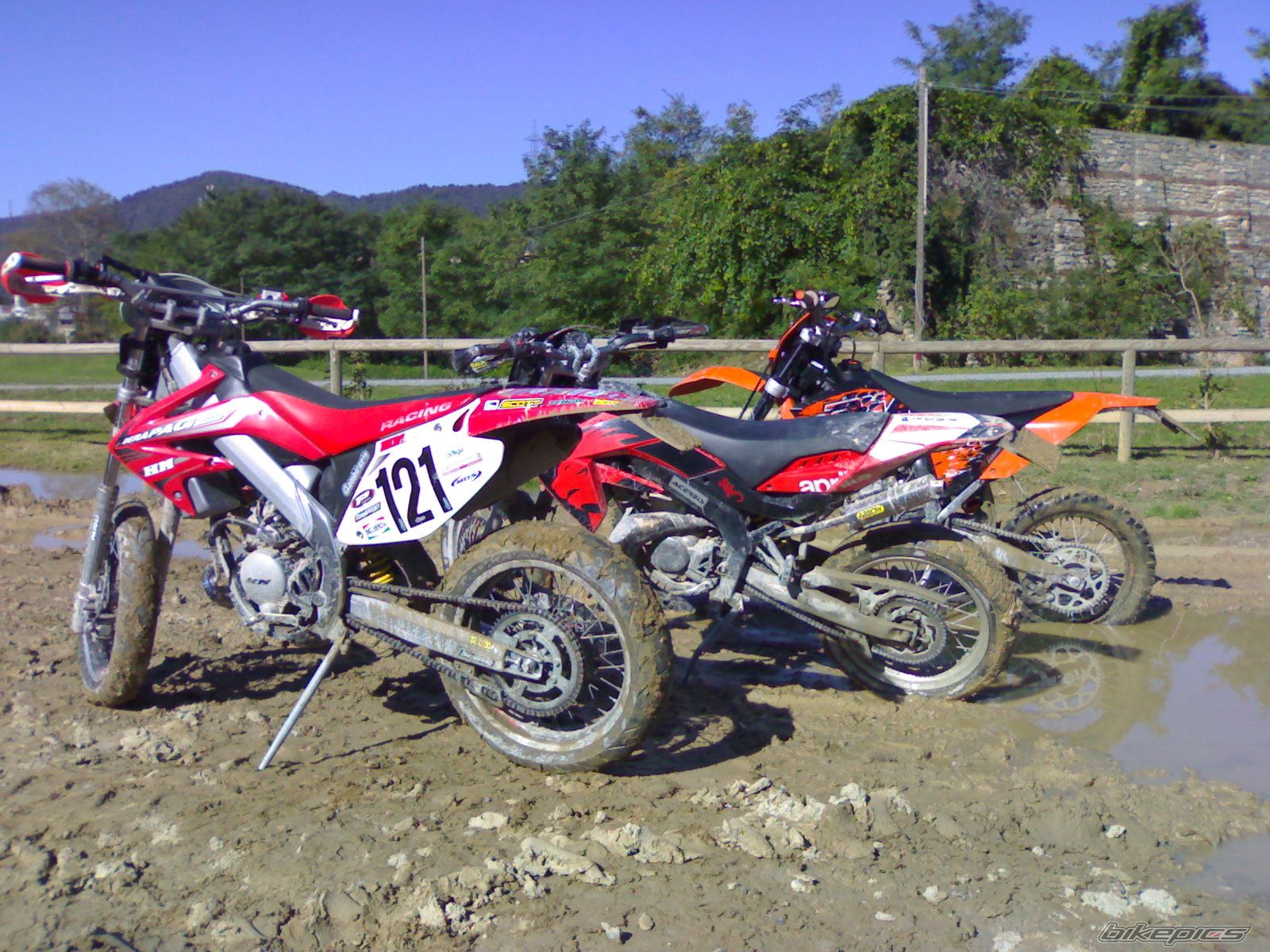 Photo 1441329