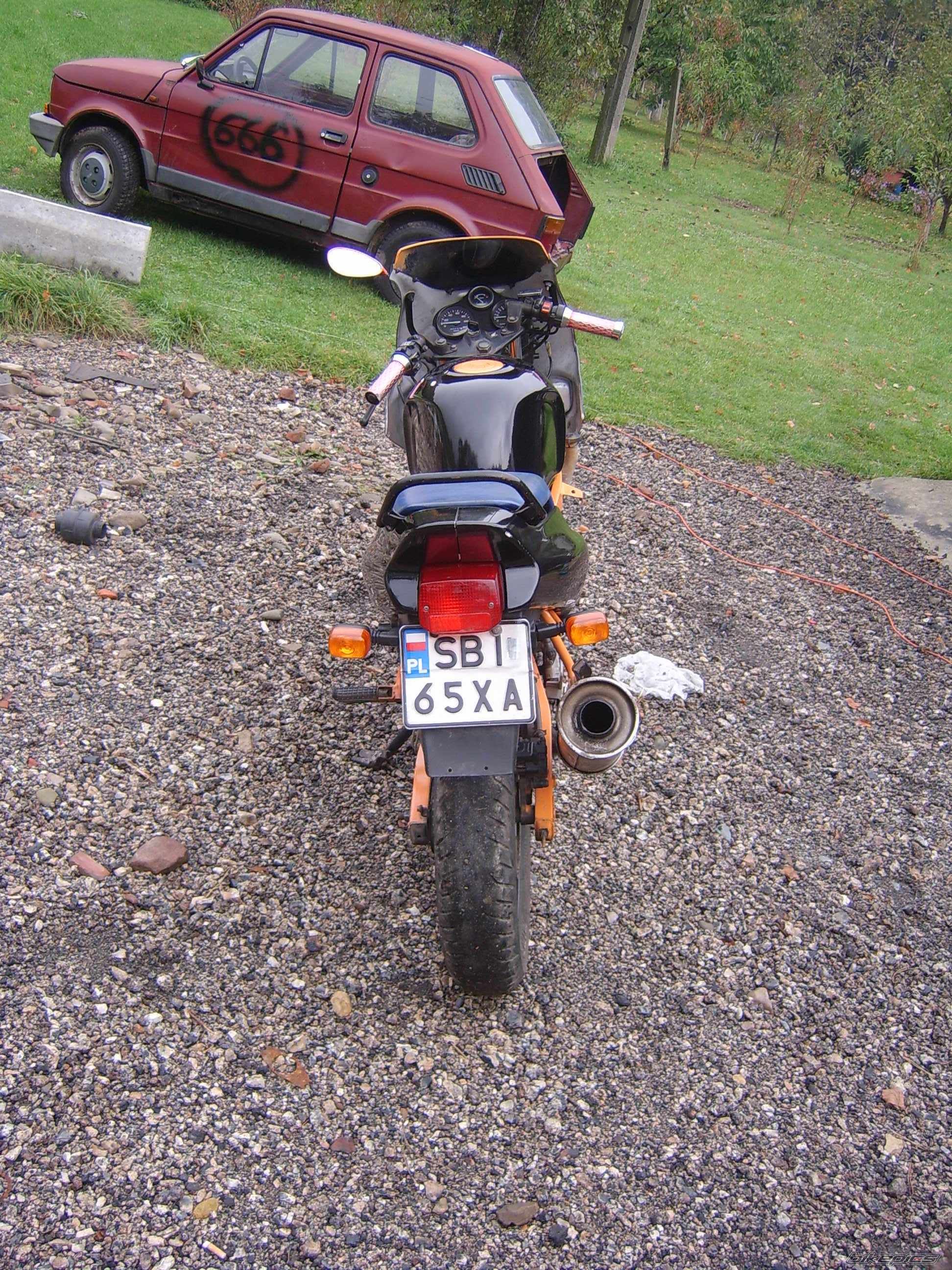 Photo 1441340