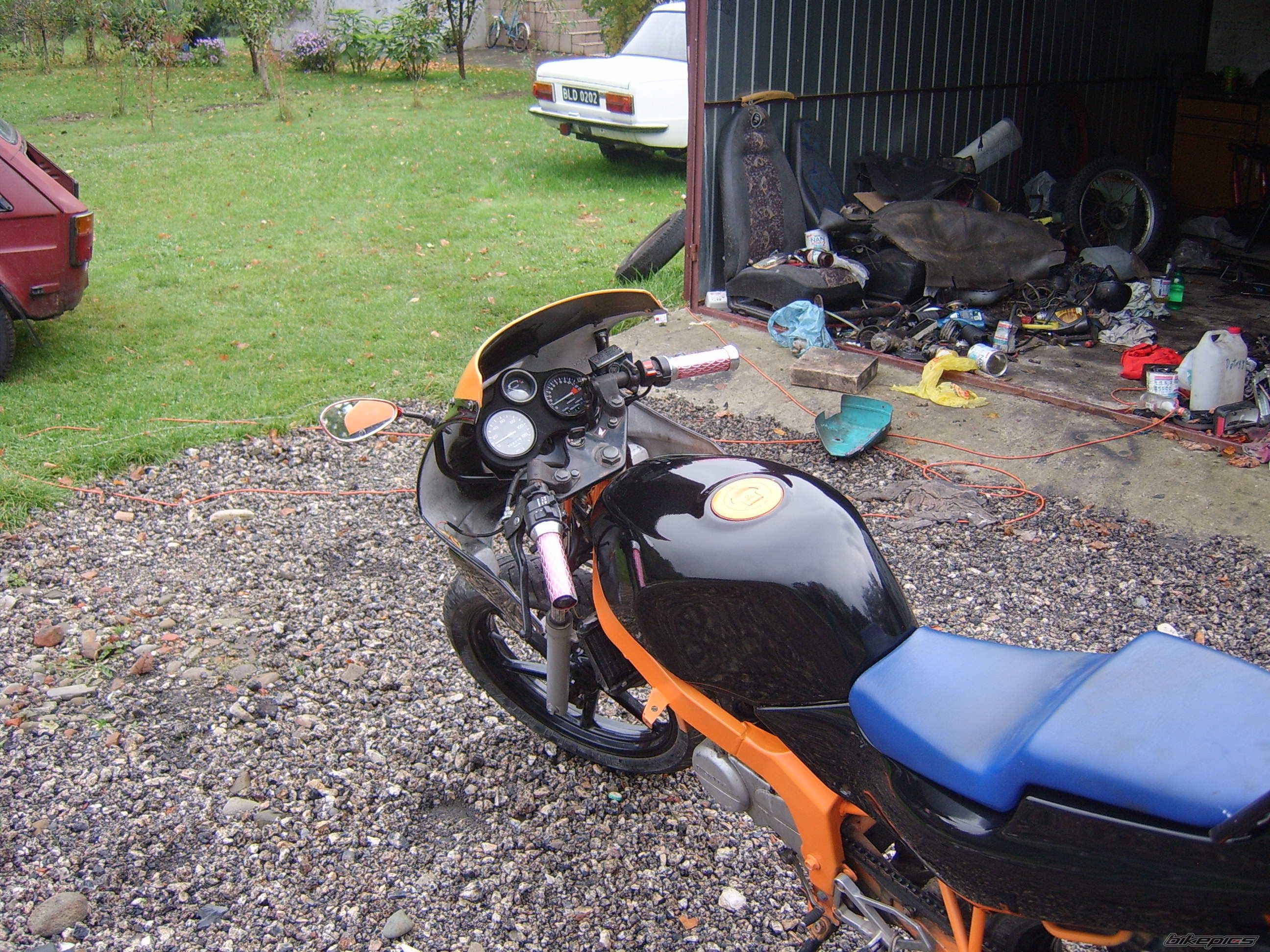 Photo 1441347