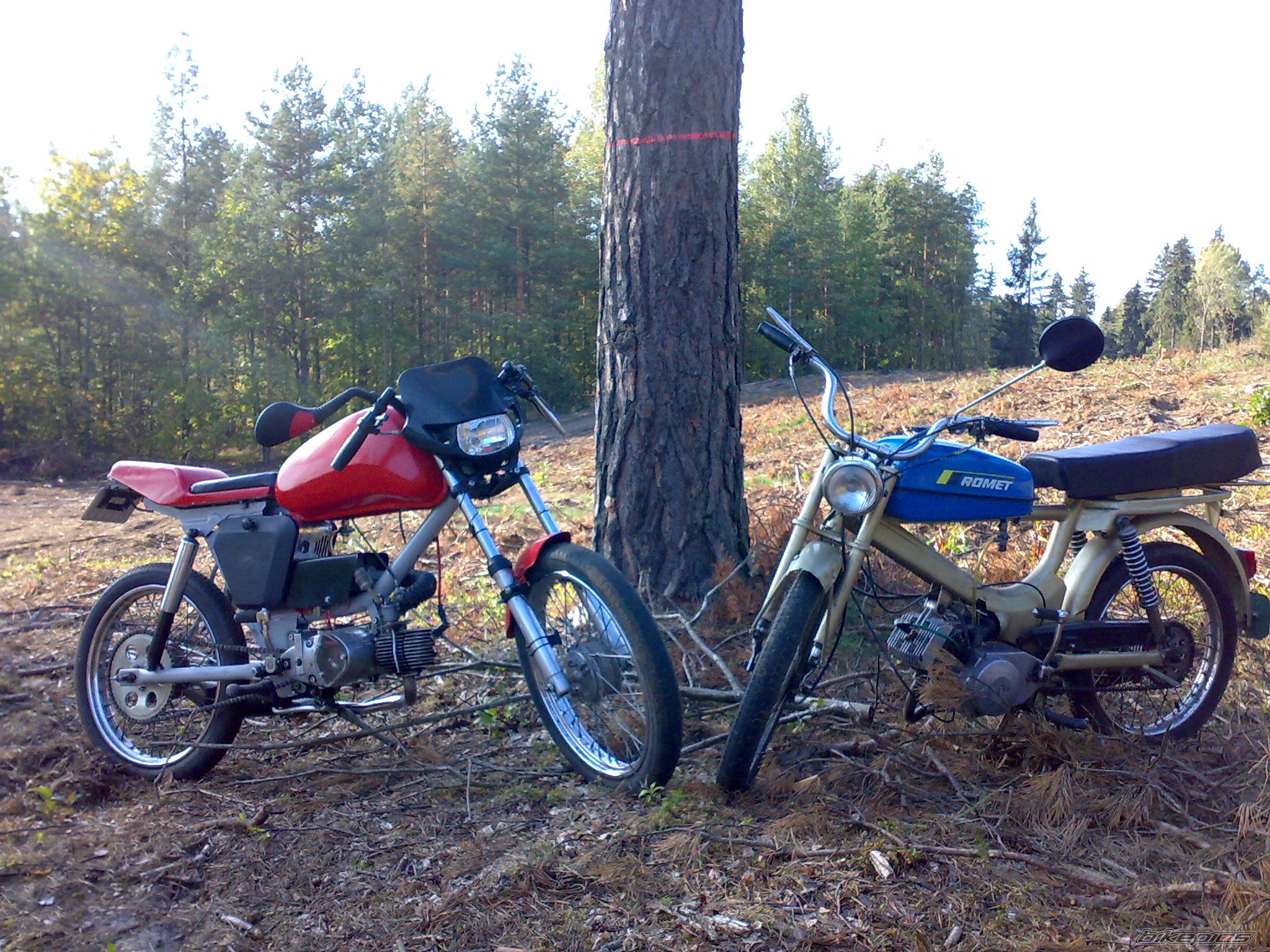 Photo 1441352