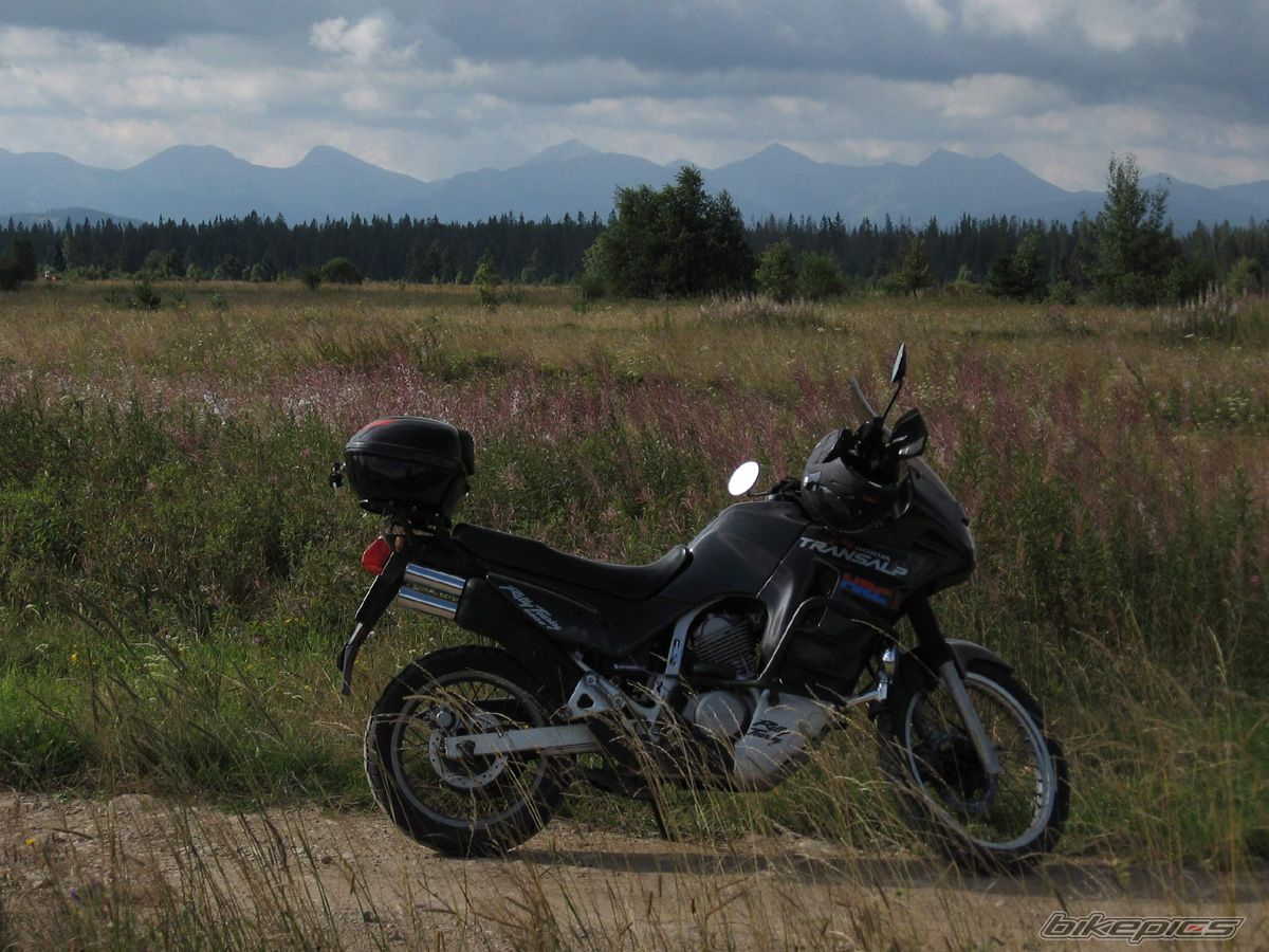 Photo 1441354