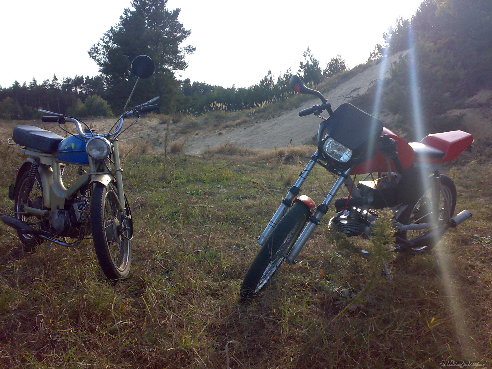 Photo 1441355
