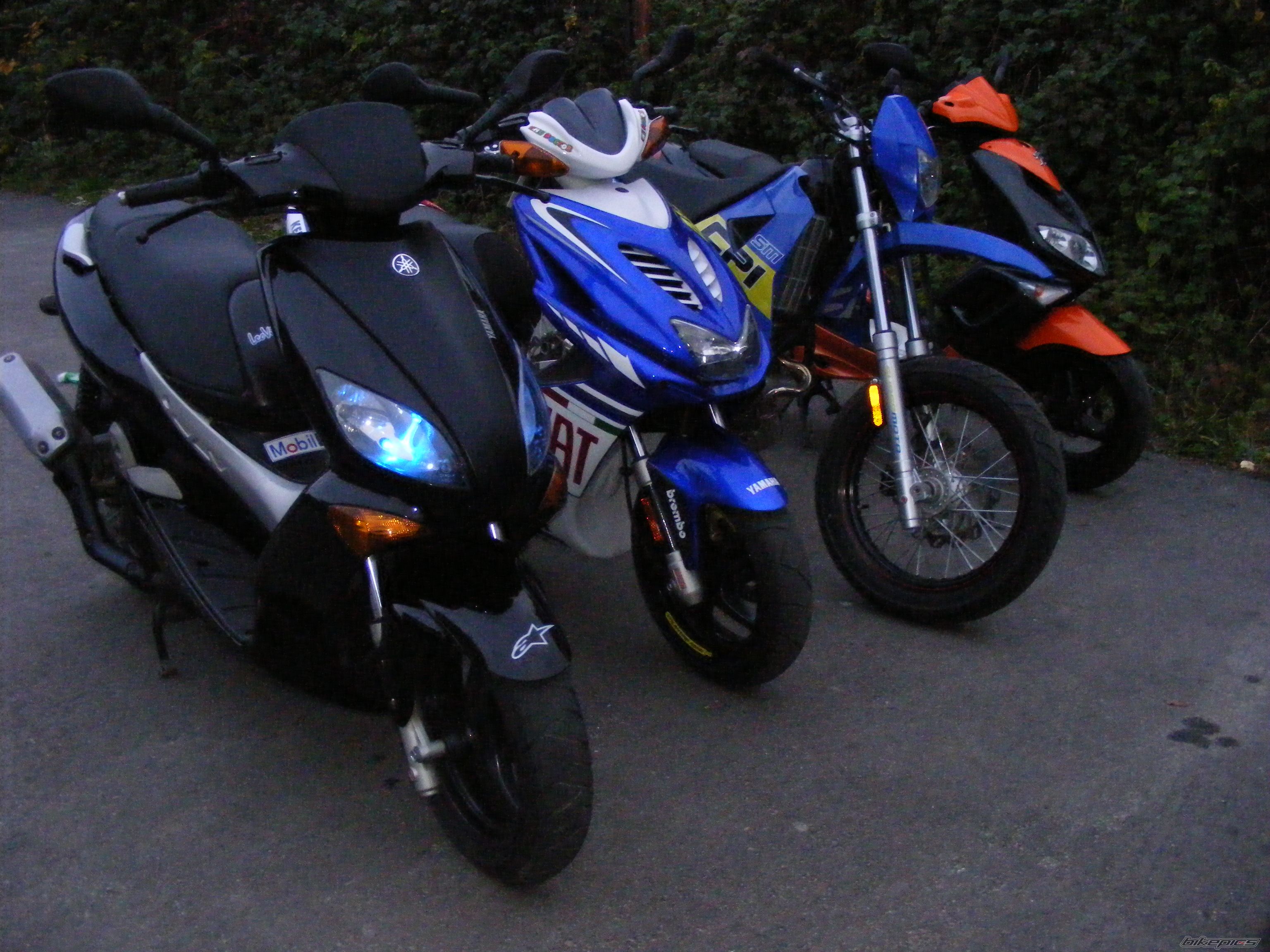 Photo 1441357