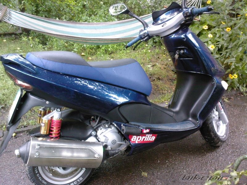 Photo 1441383