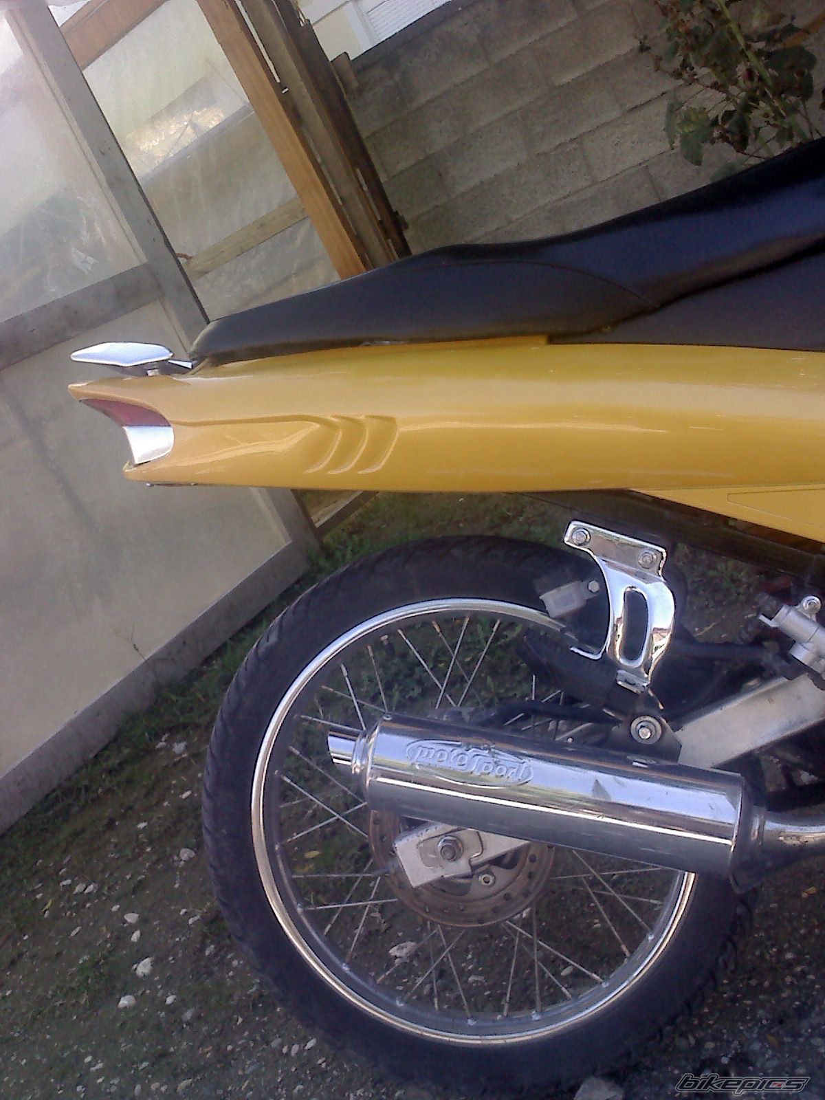 Photo 1441385