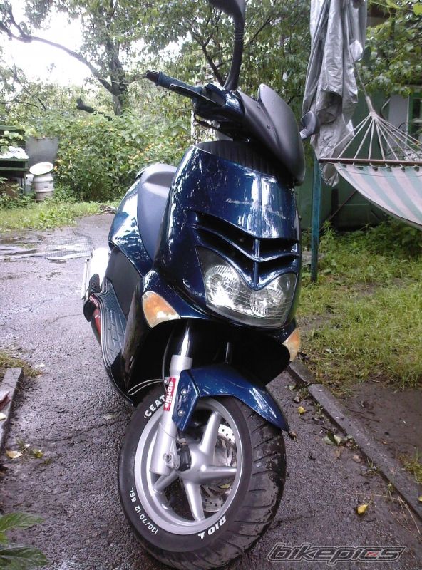 Photo 1441387