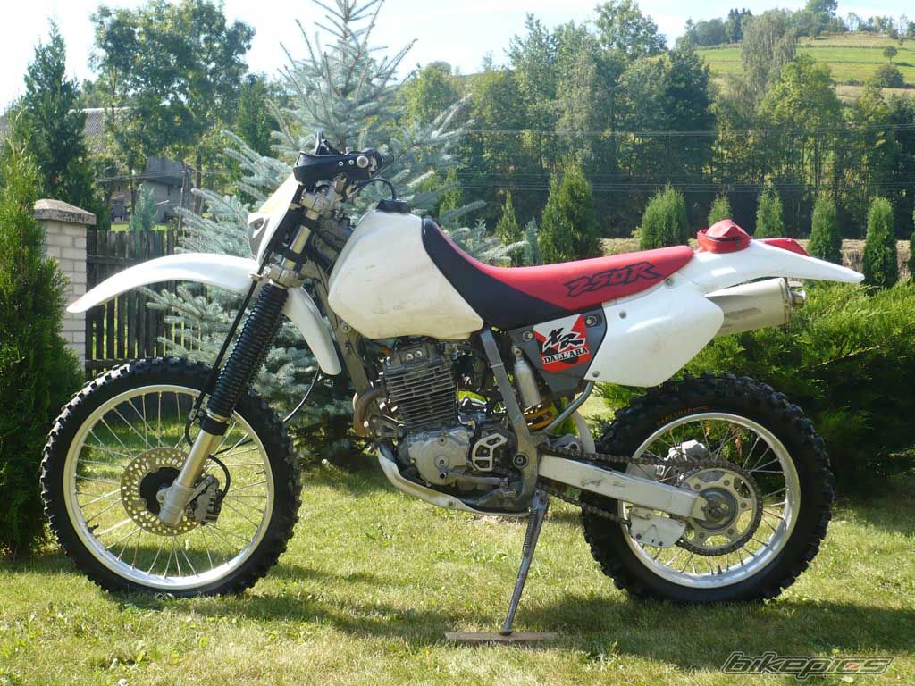 Bike Photo 1441390
