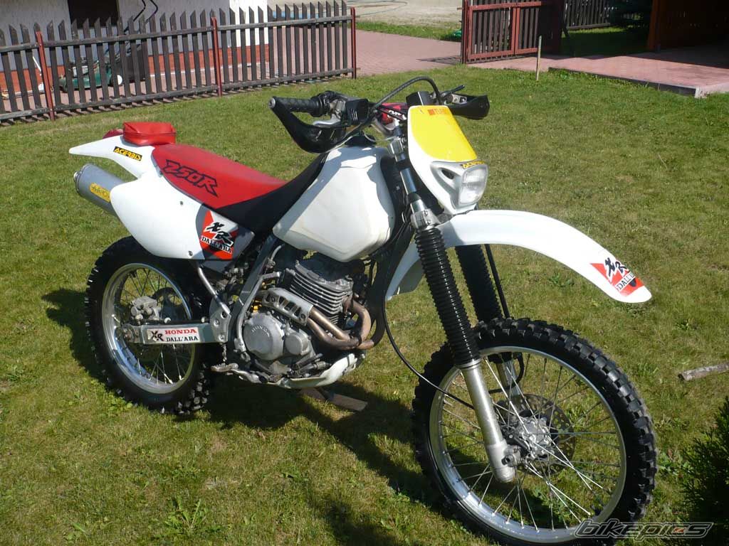 Bike Photo 1441391