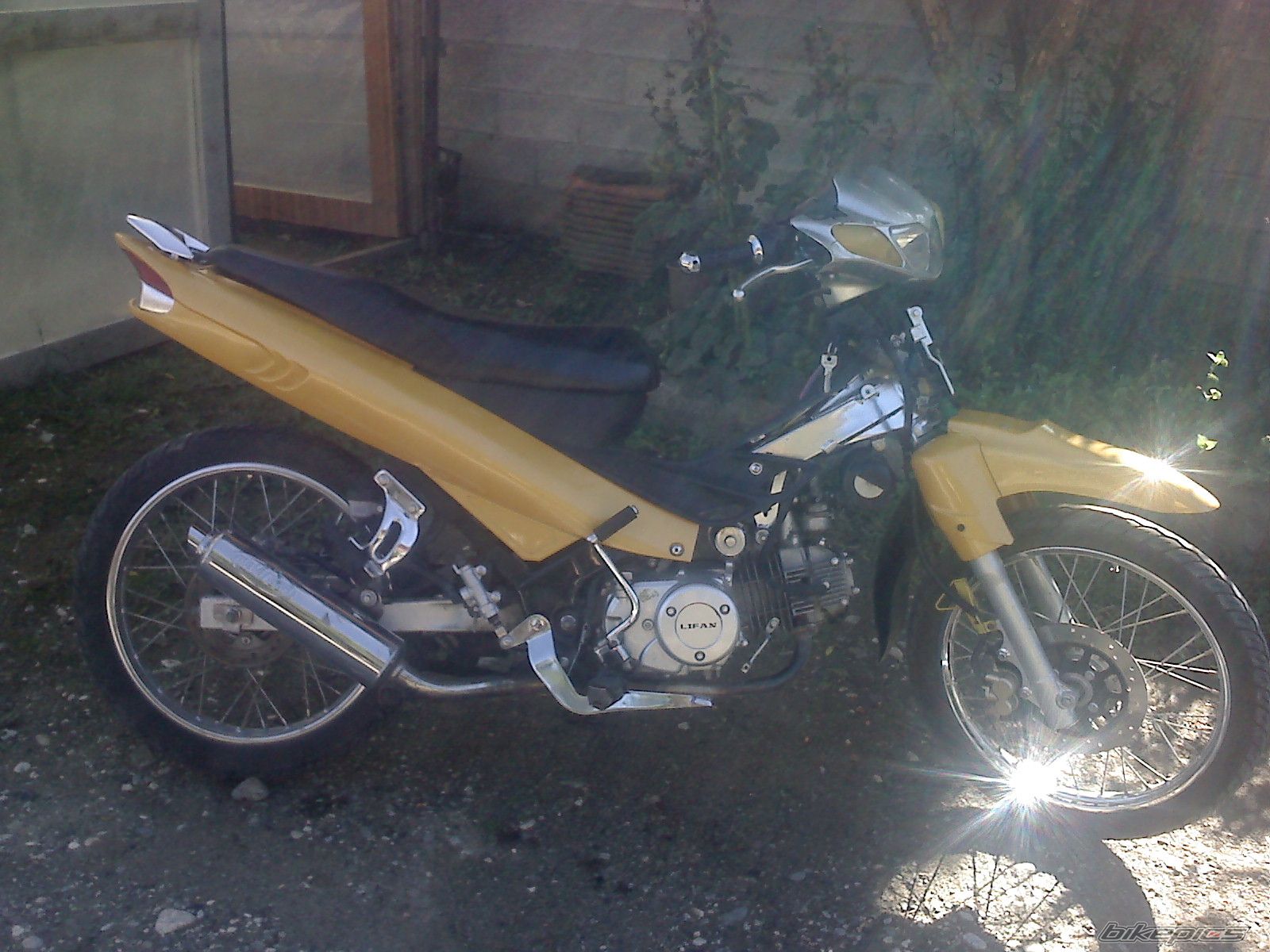Photo 1441417