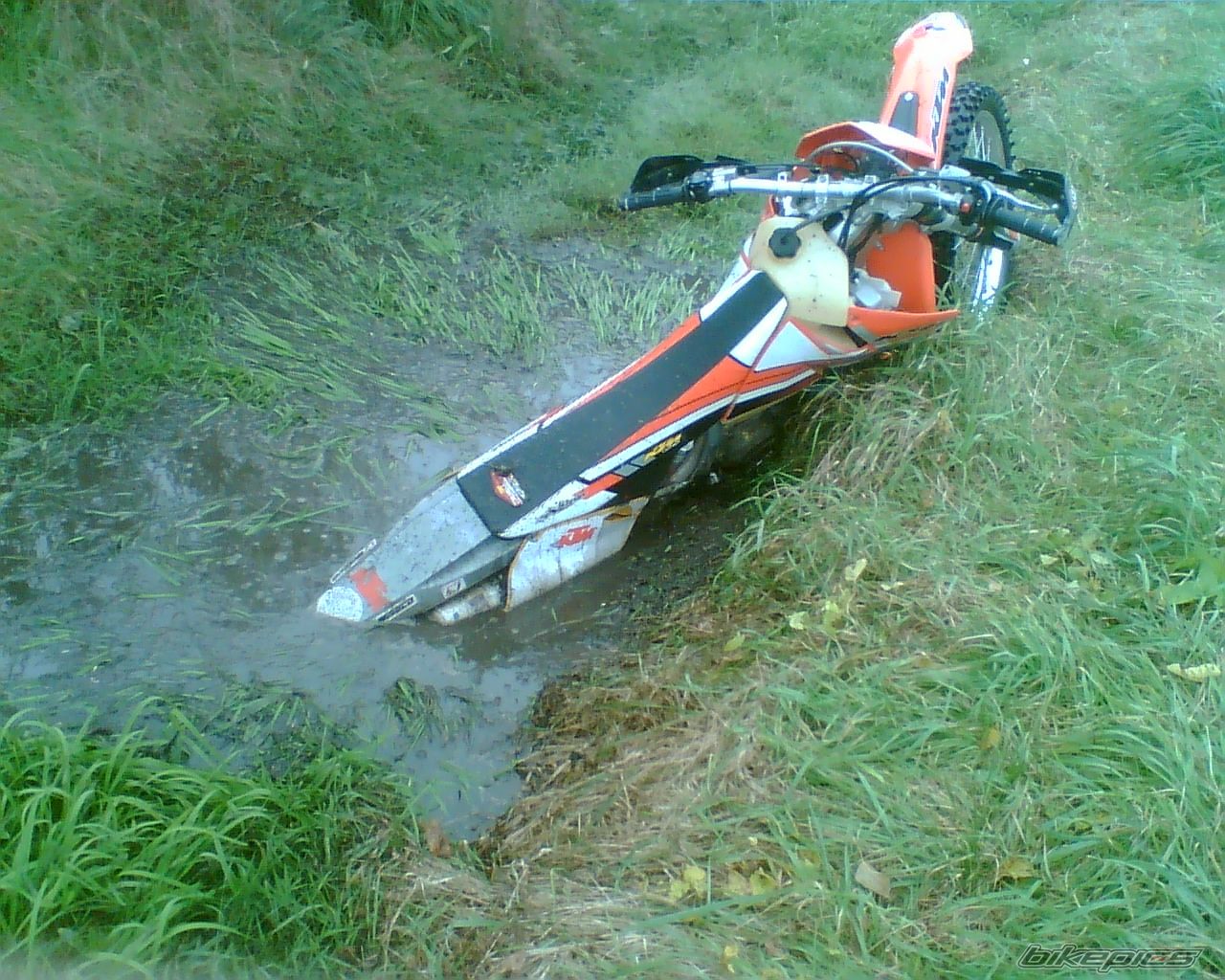 Photo 1441420