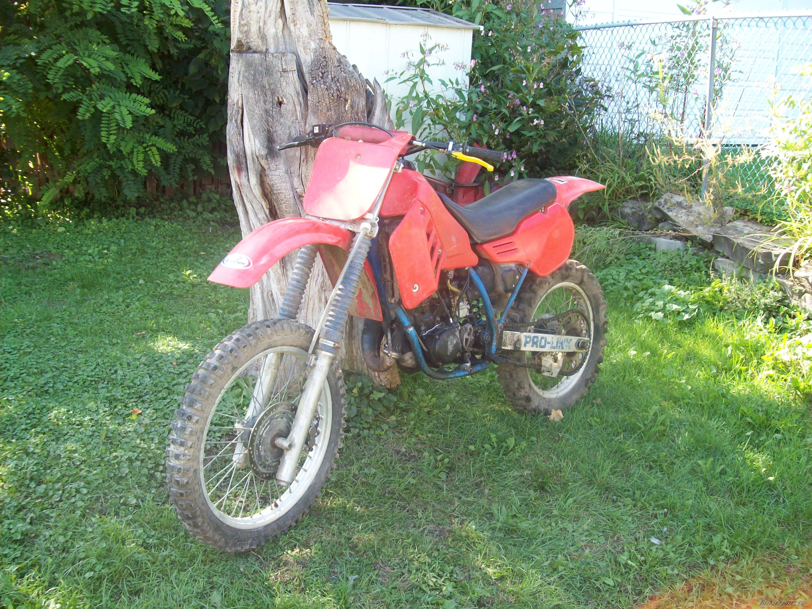 Photo 1441431