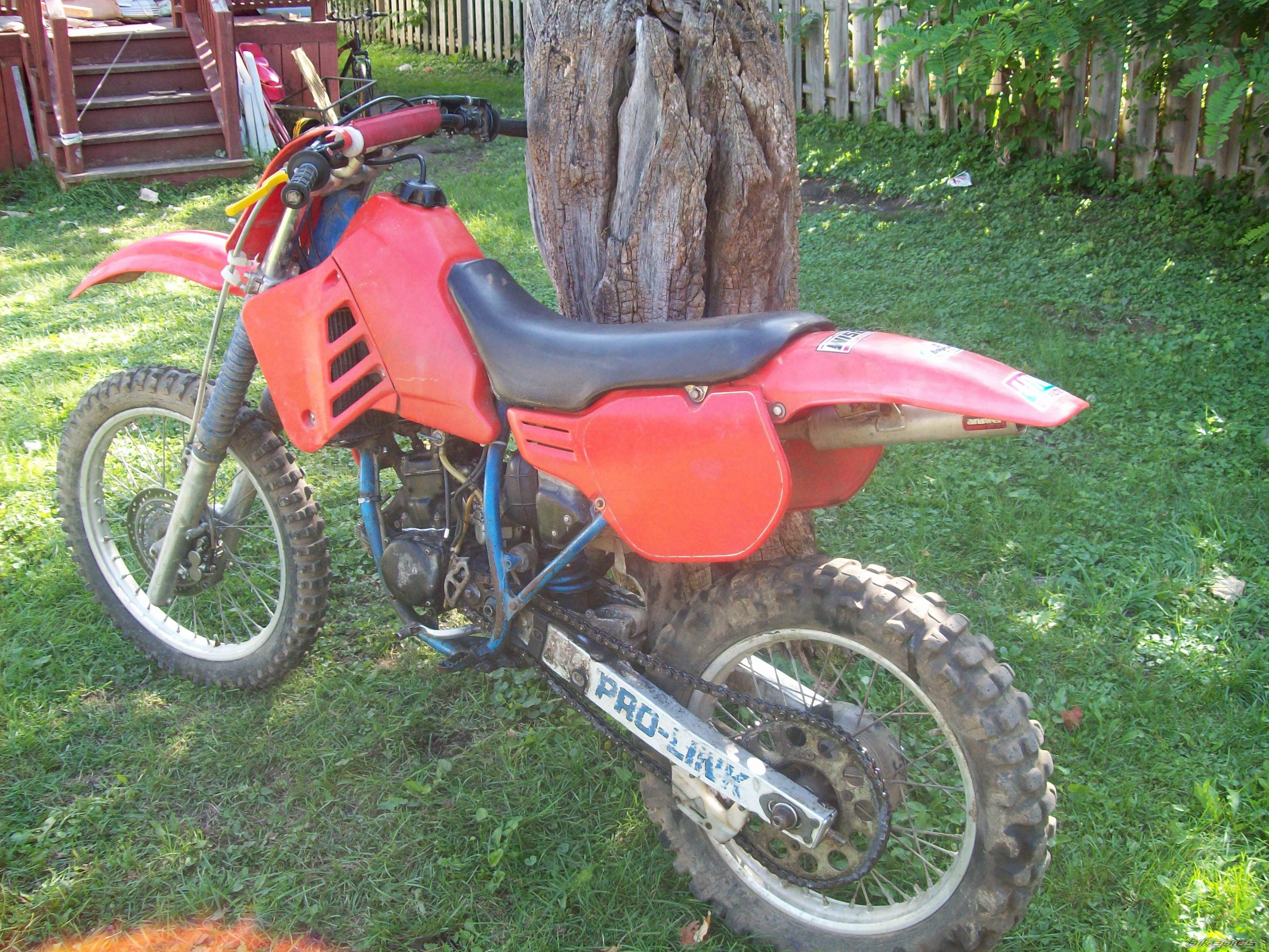 Photo 1441433