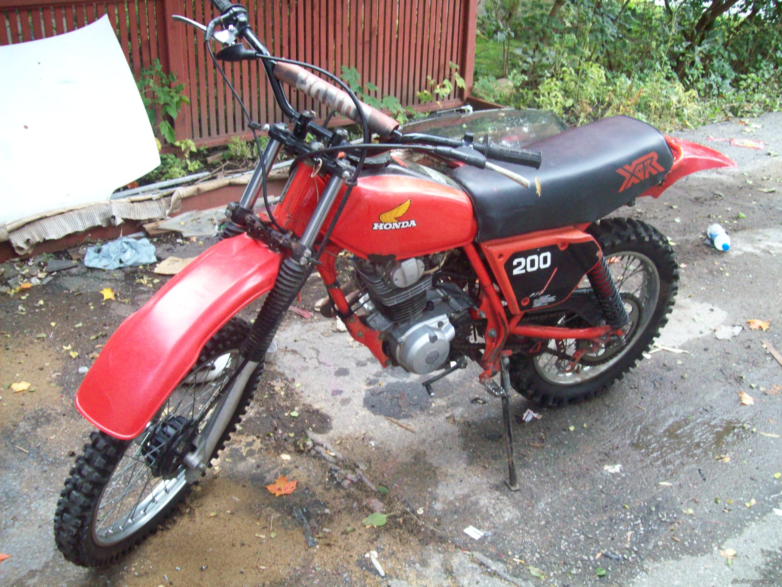 Photo 1441434