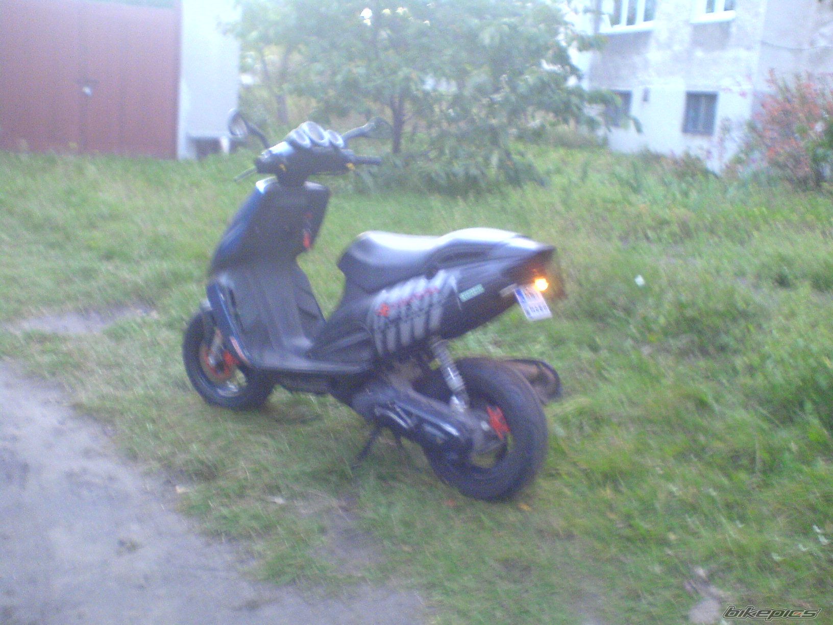 Photo 1441440