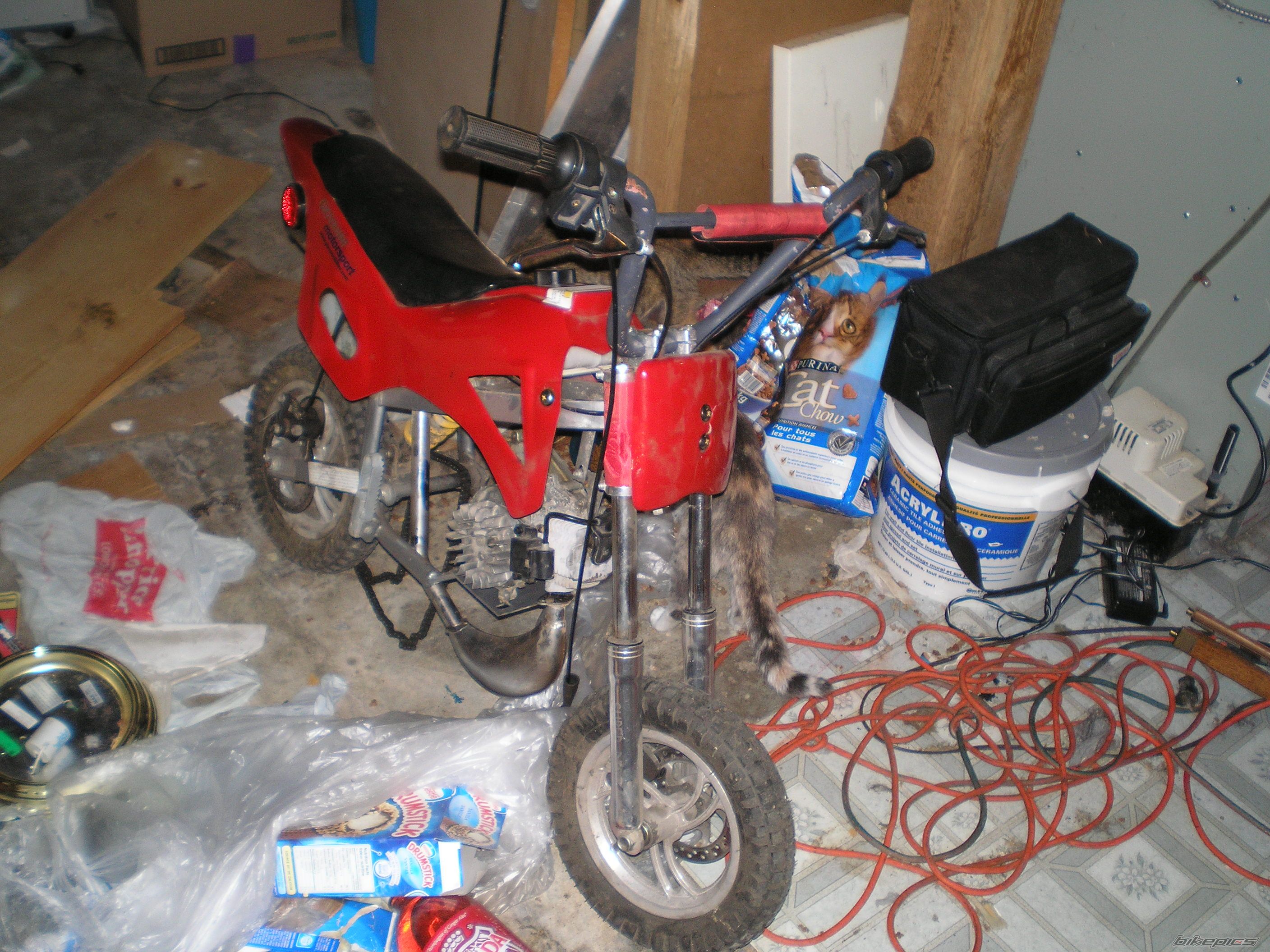 Photo 1441445