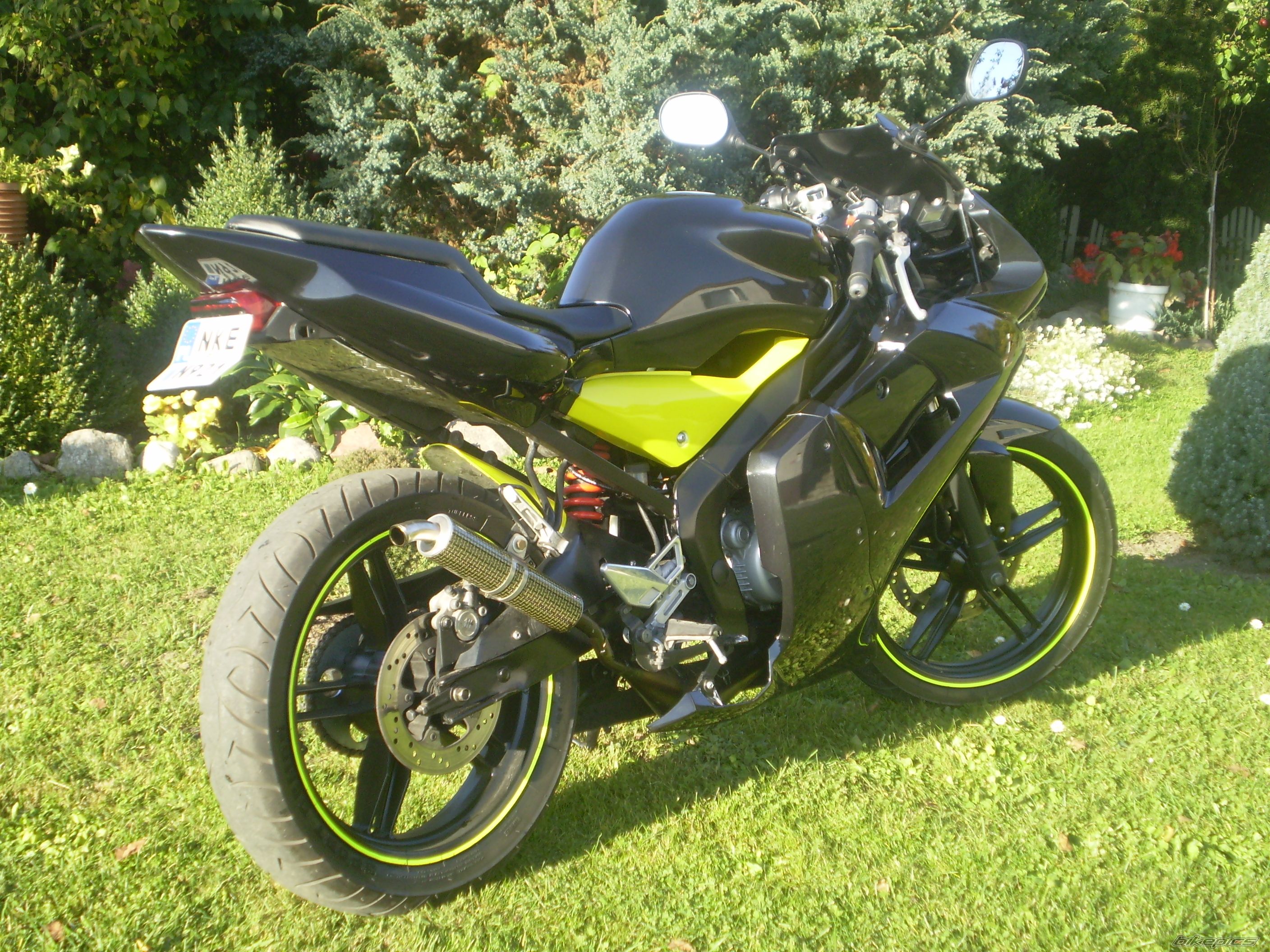 Photo 1441479
