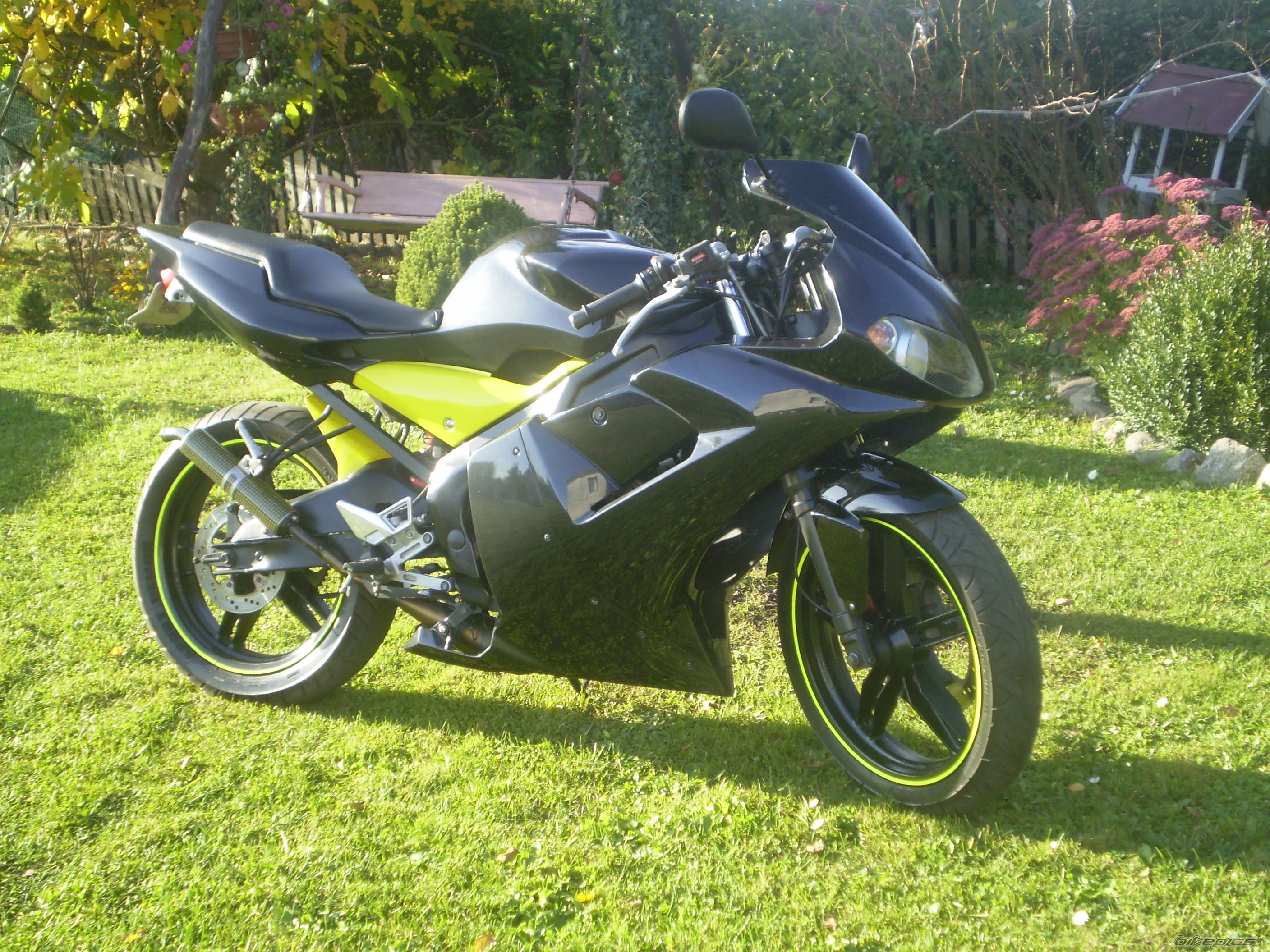 Photo 1441496