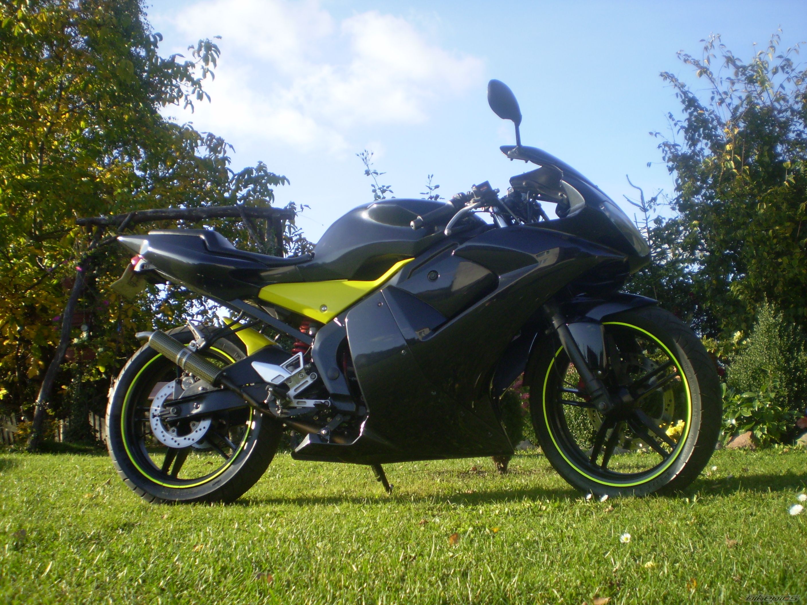 Photo 1441504