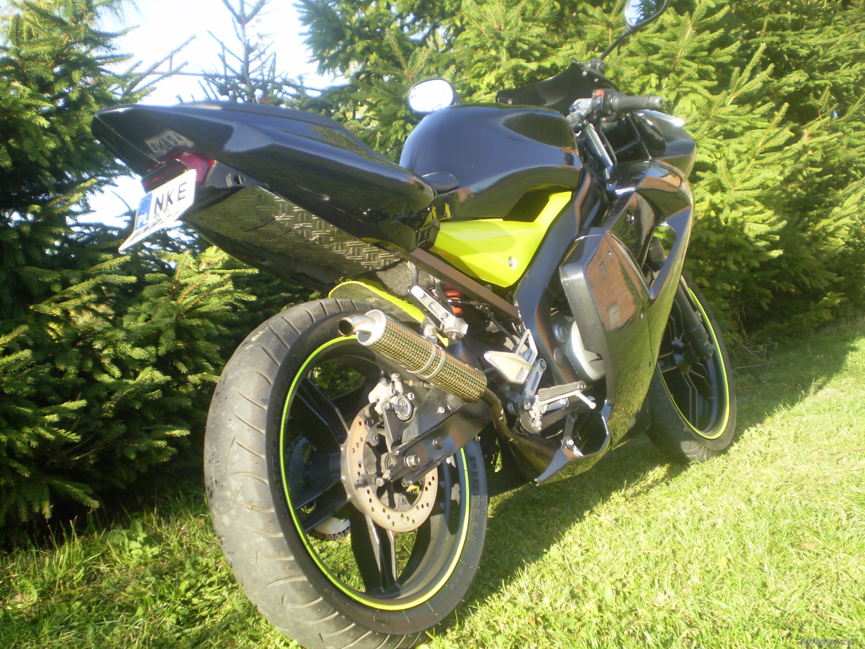 Photo 1441517
