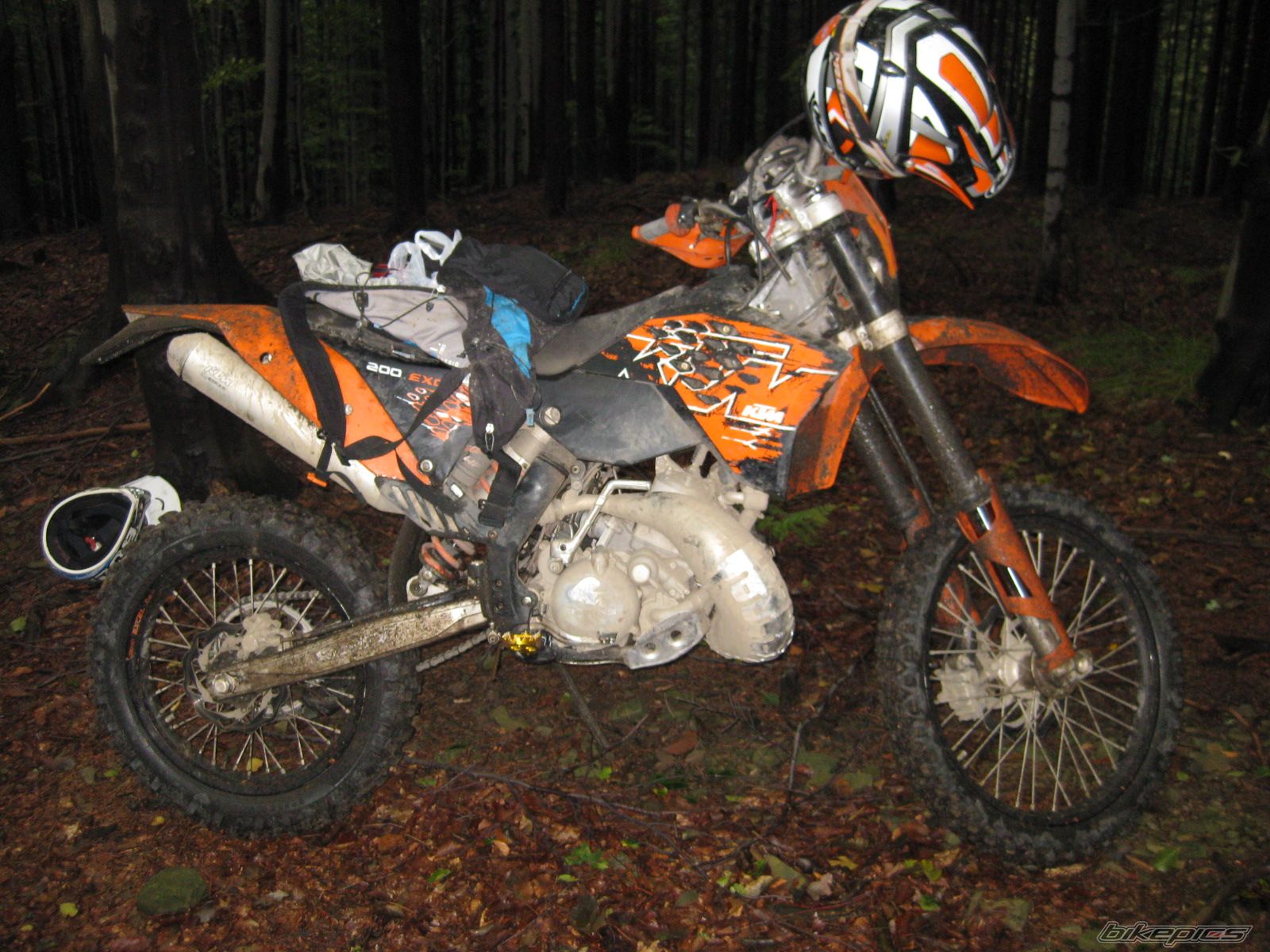 Photo 1441611