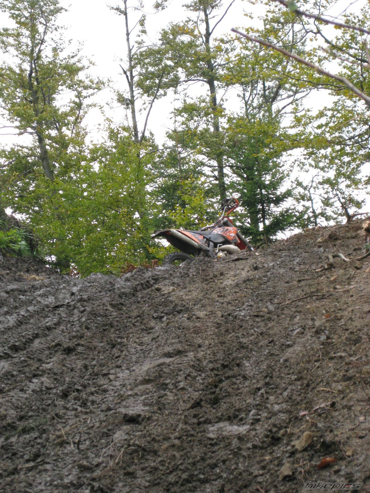 Photo 1441614