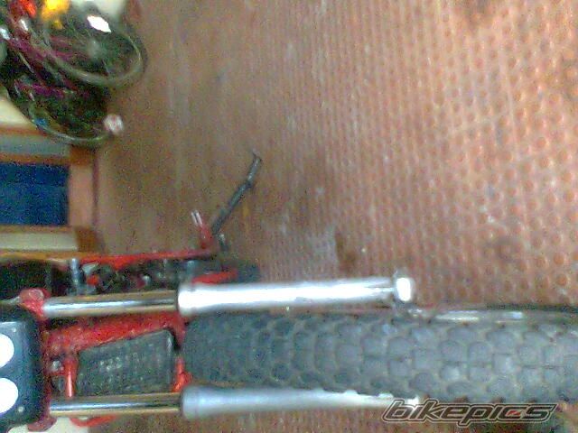 Photo 1441690