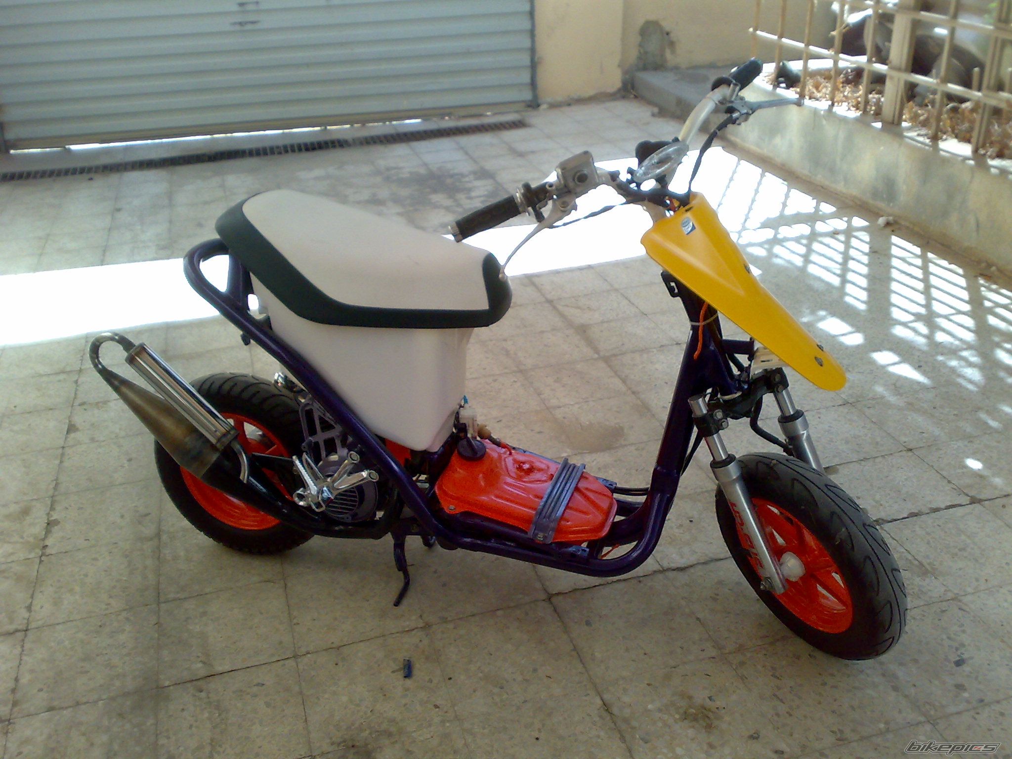 Photo 1441693