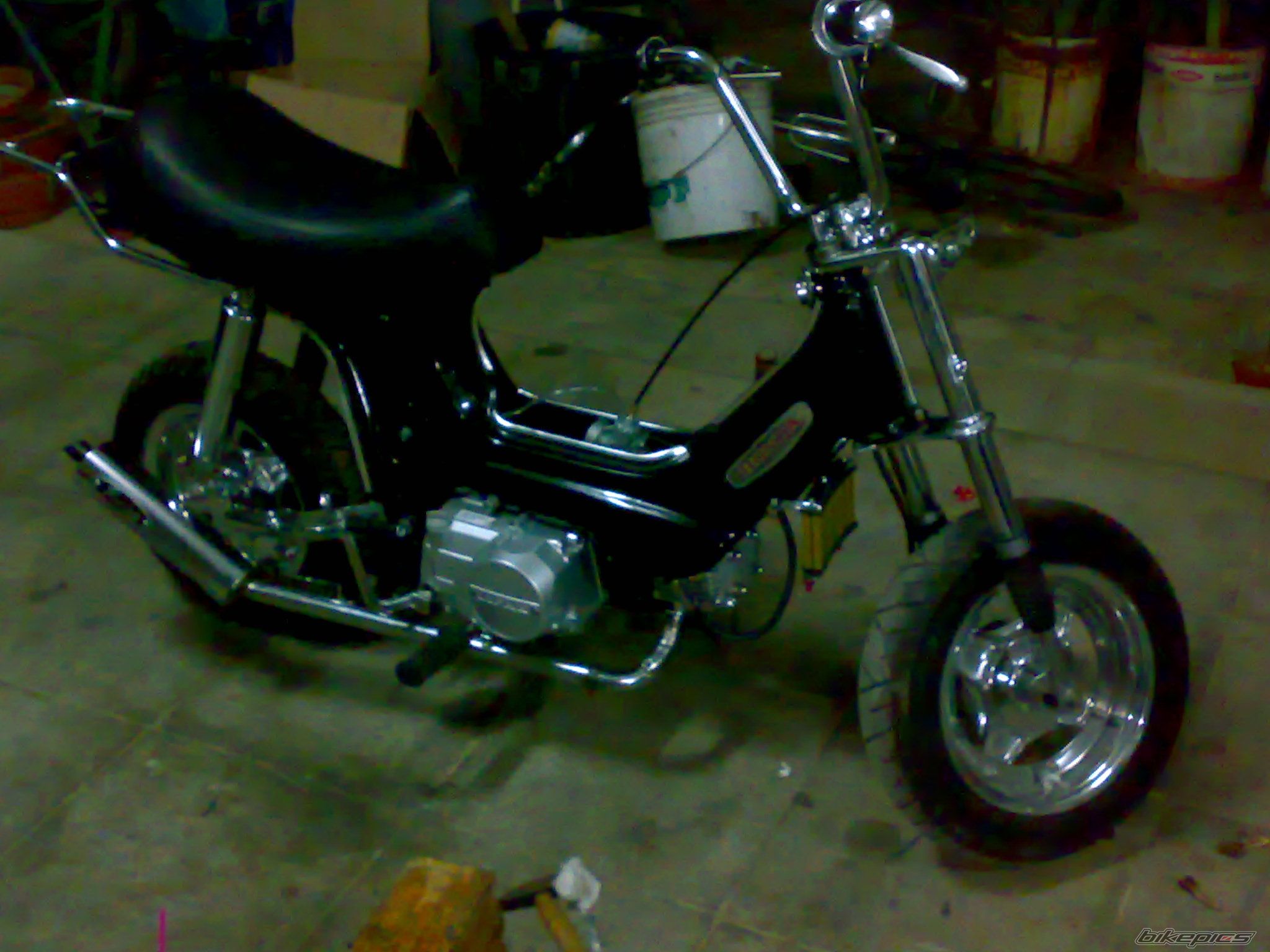 Photo 1441710
